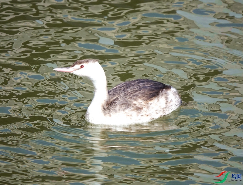 DSC00865.jpg