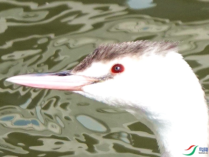 DSC00867.jpg