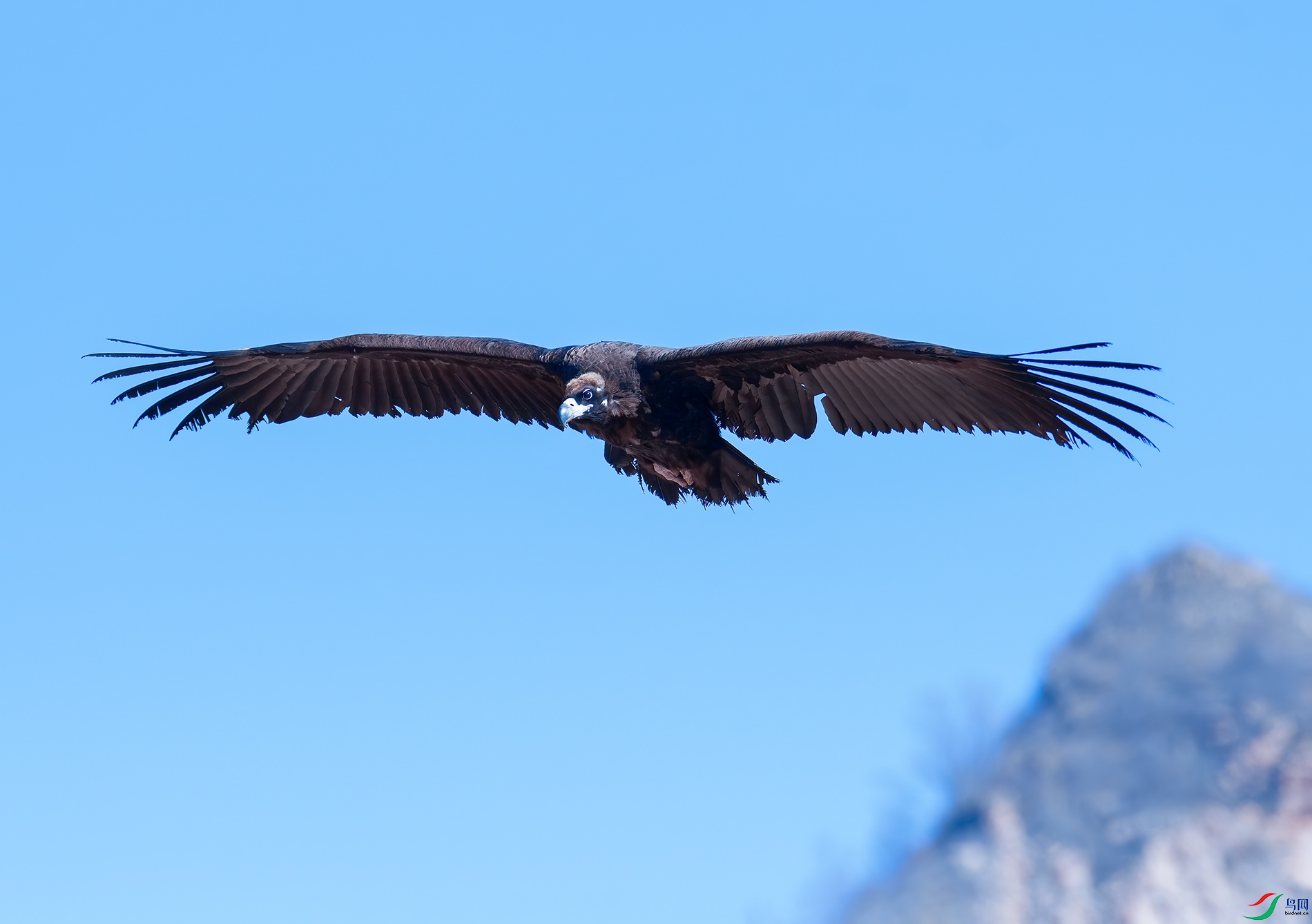 DSC_2109.jpg
