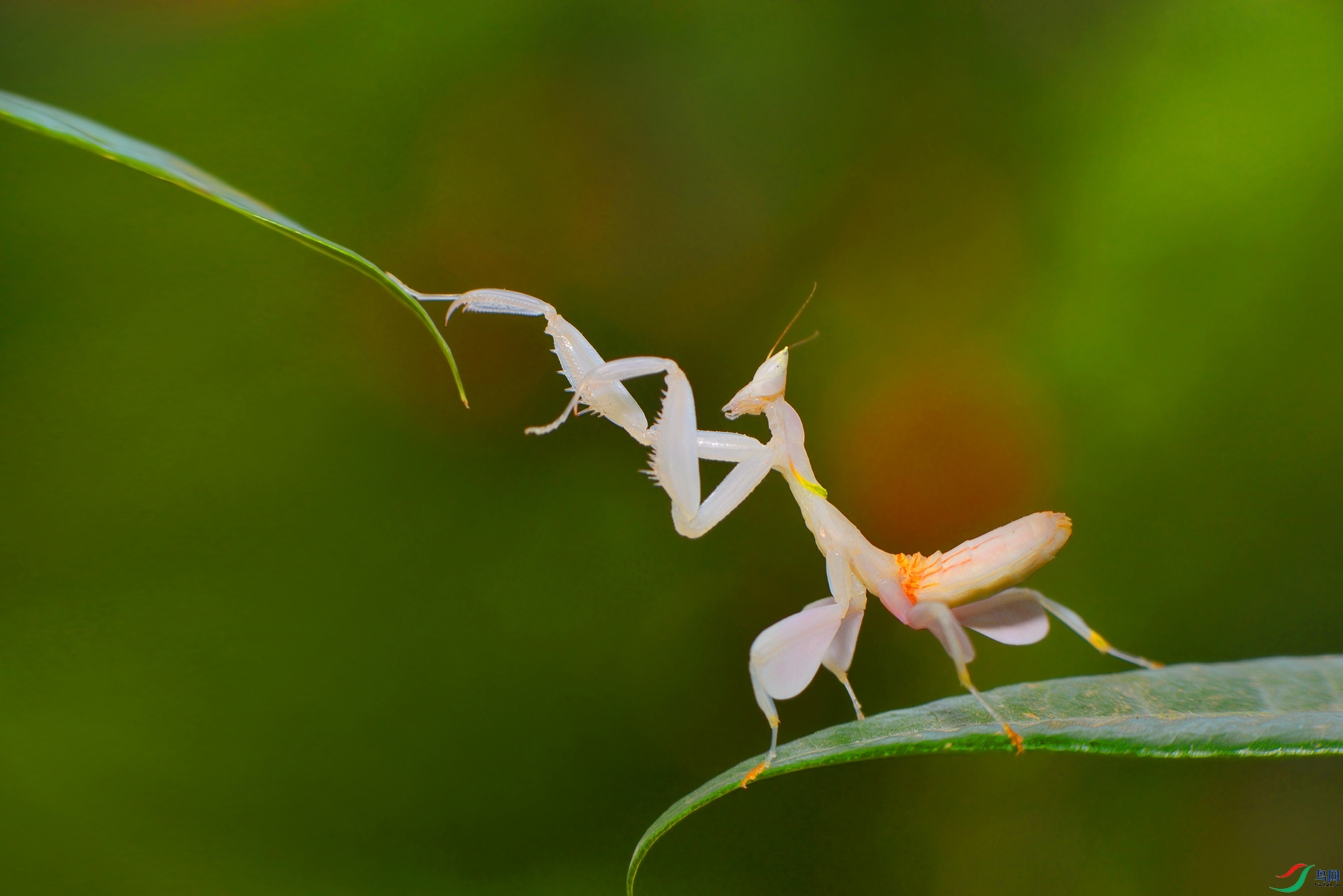 DSC_2435 ��������.jpg