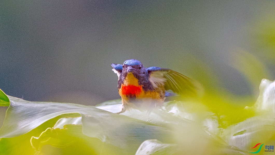 ��DSC_3097.jpg