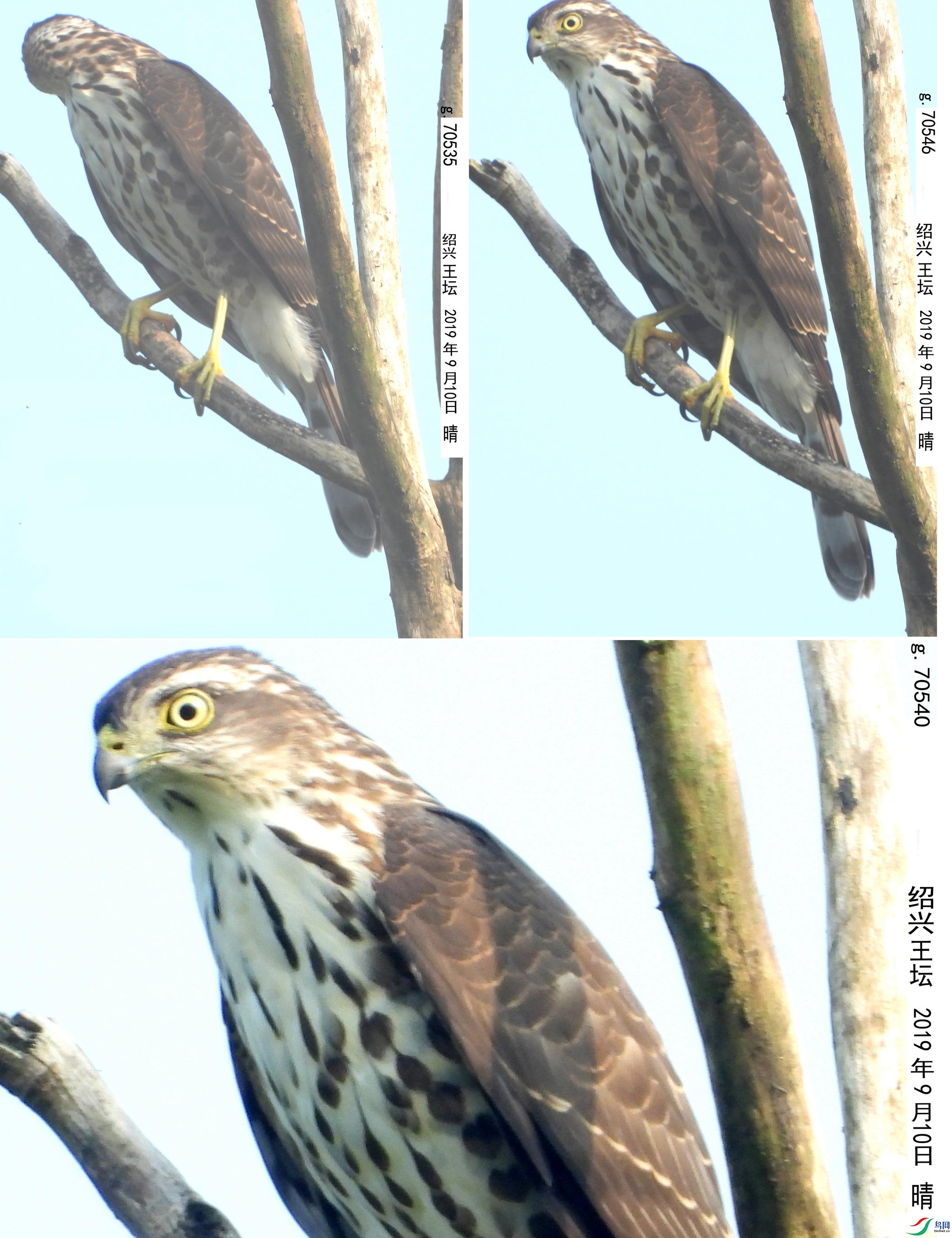 20210305 ��b_����.jpg