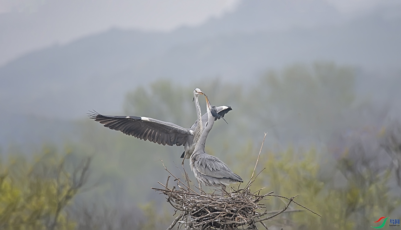 DSC_6298.jpg
