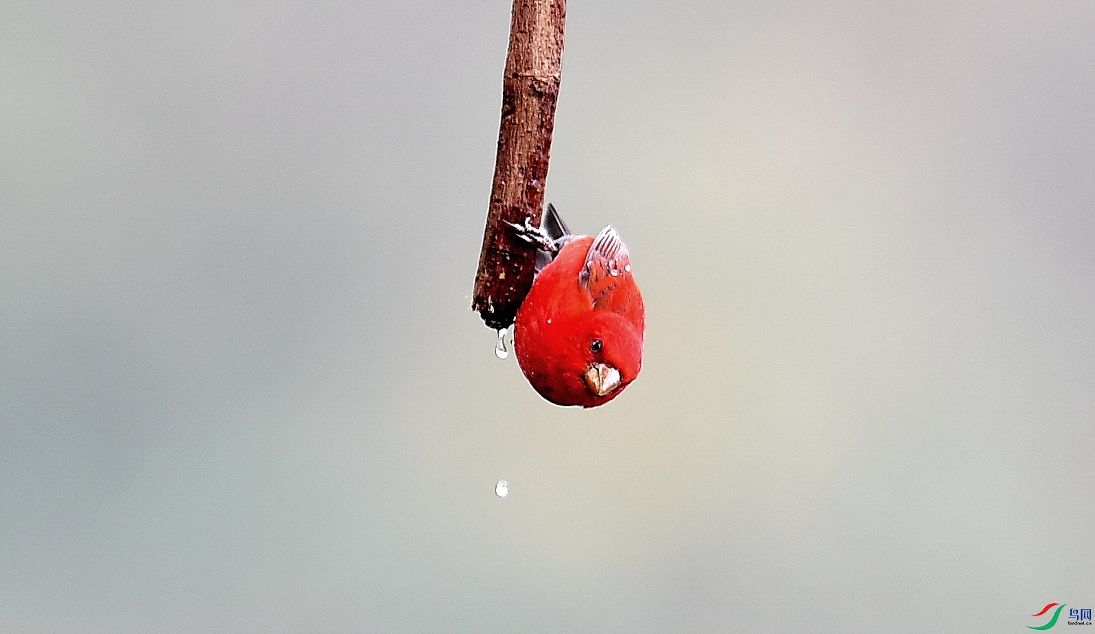 DSC_7623_����.jpg