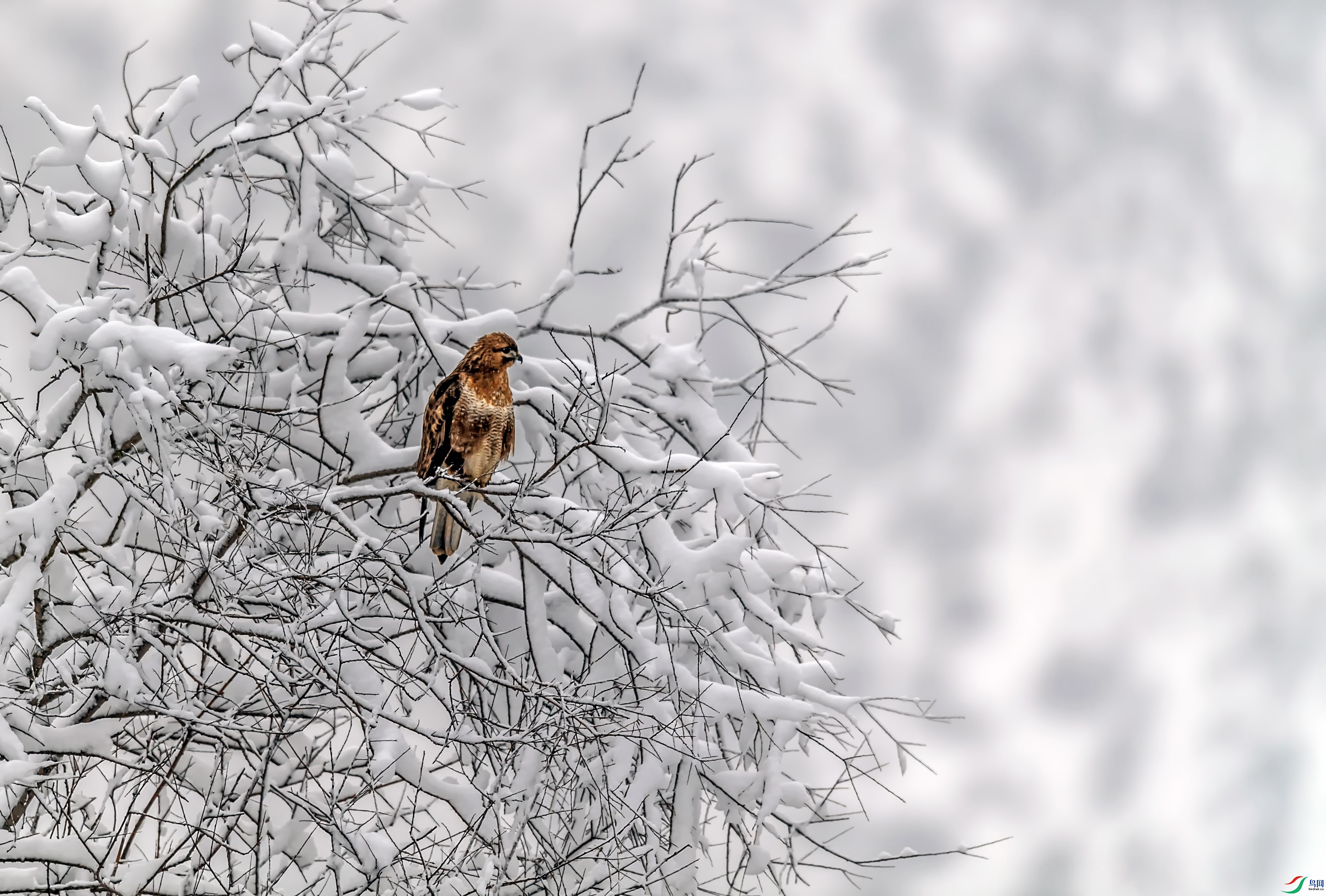DSC_8973_��ͼ��.jpg--2.jpg