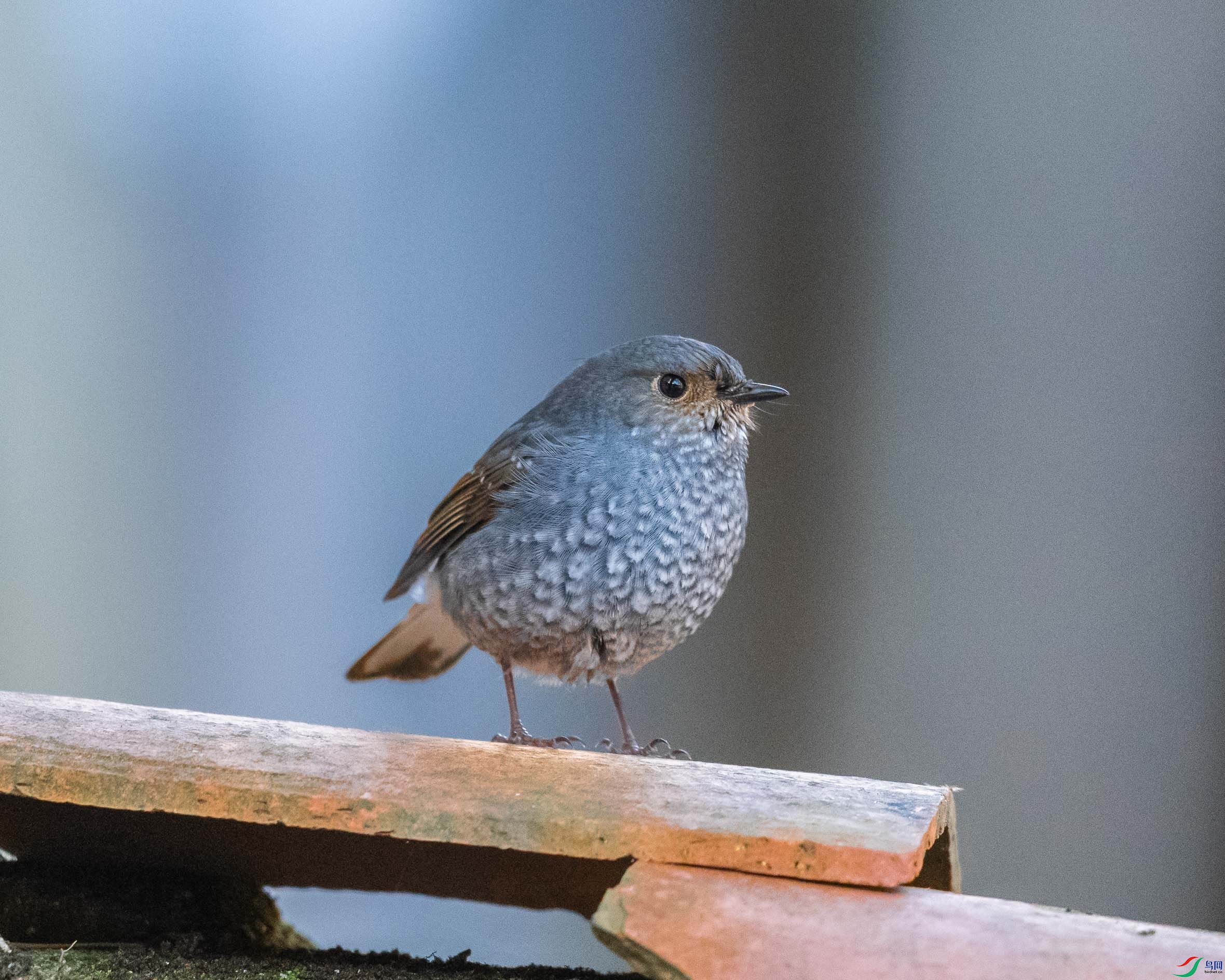 DSC_1886.jpg