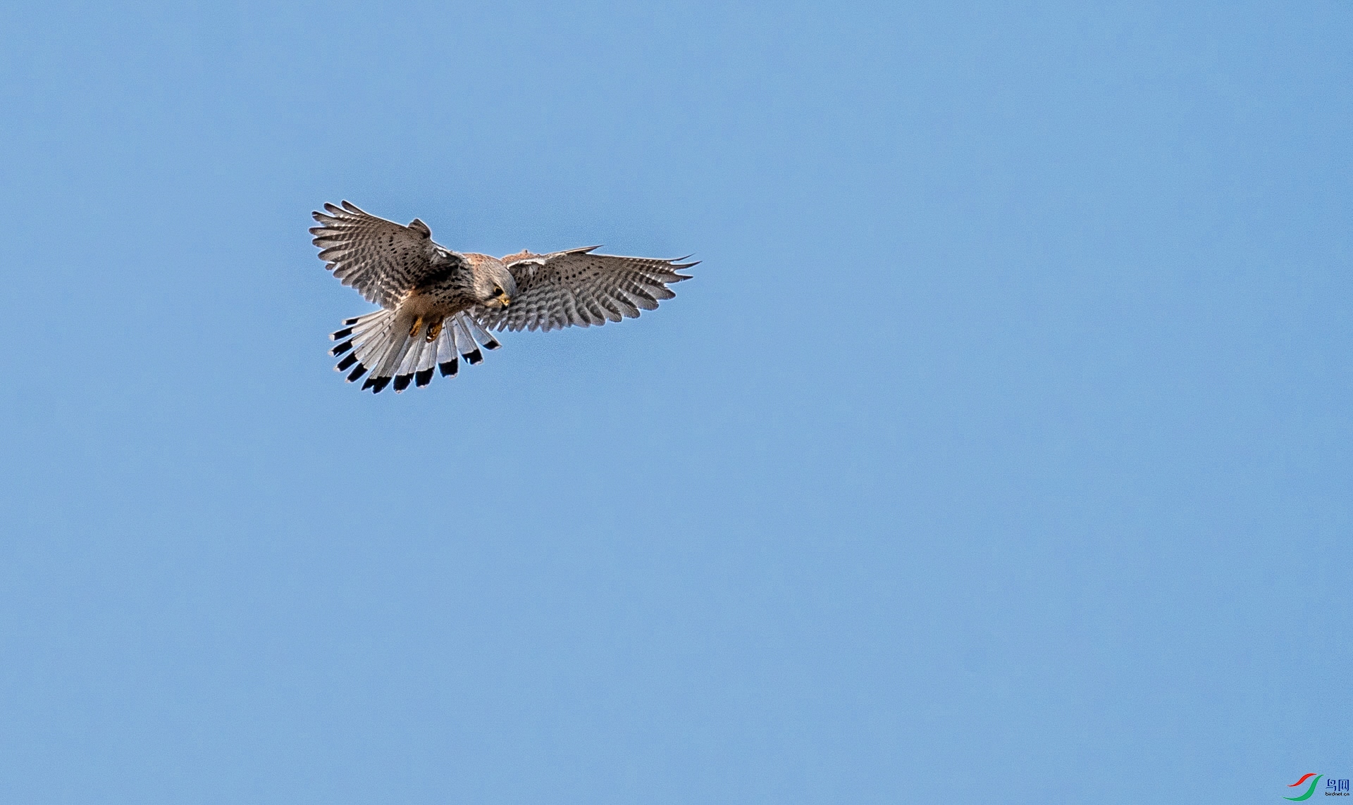 DSC09369.jpg