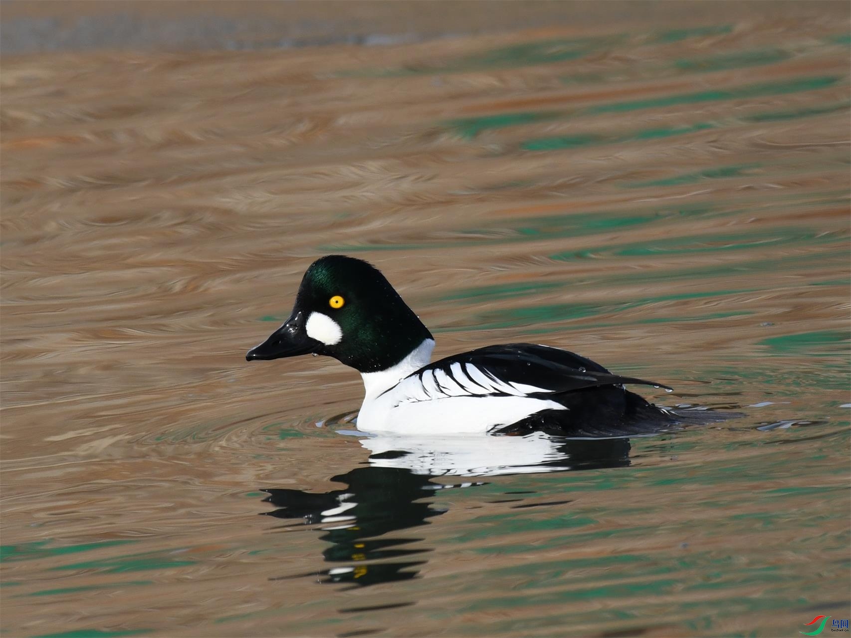 DSC_5424_��ͼ��.jpg