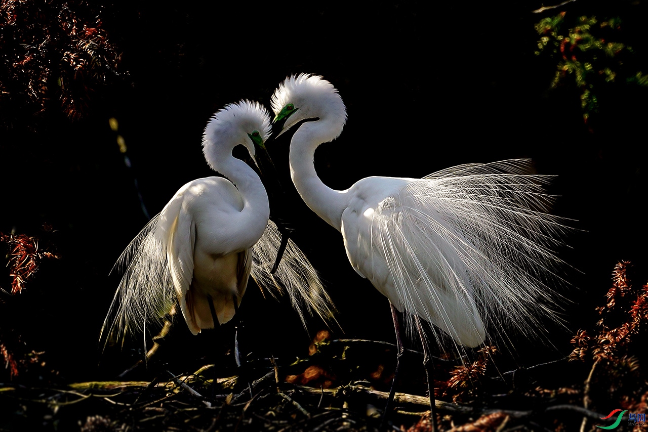 ����˽��