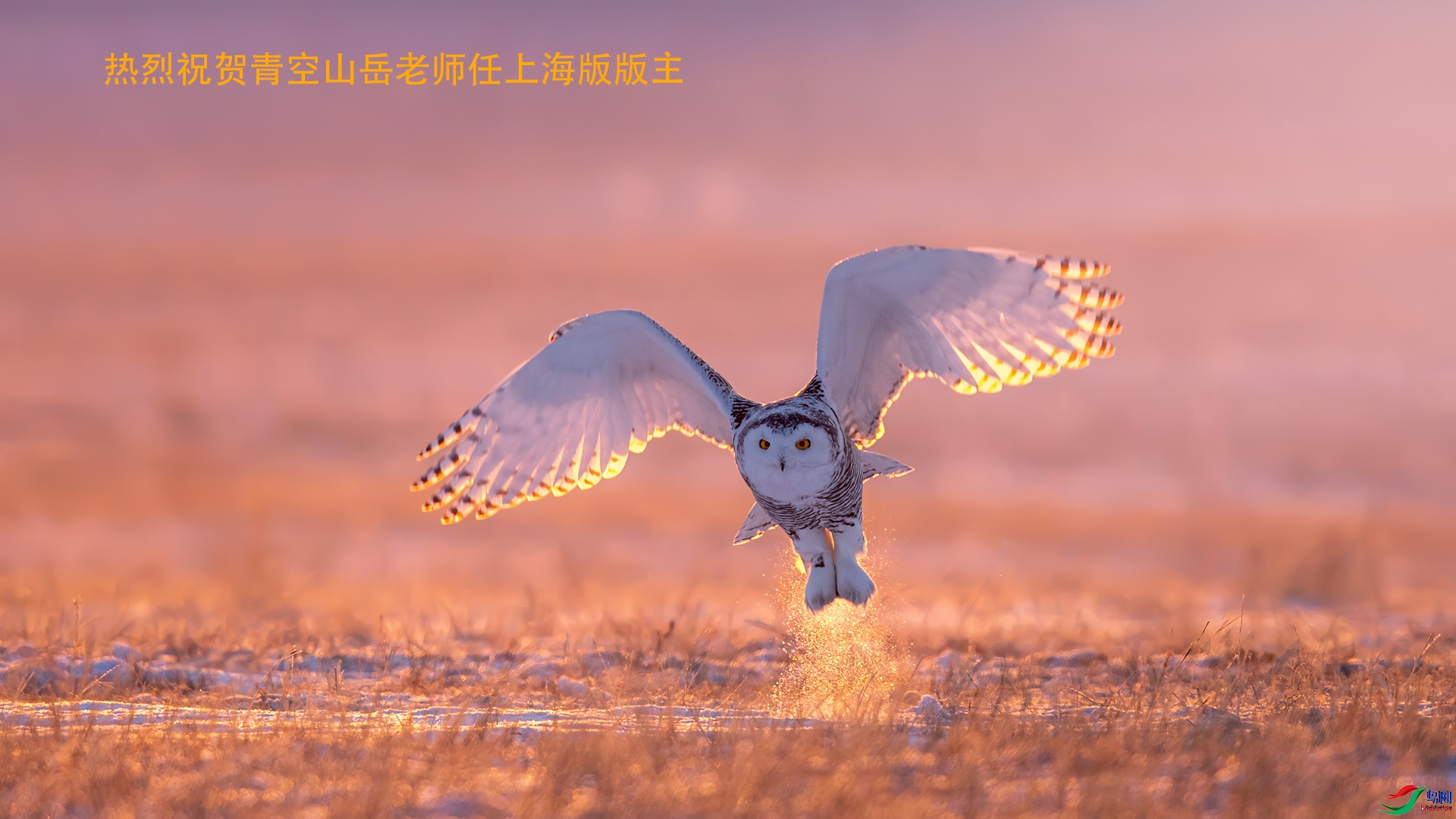 211525a45wqzyquzqek**.jpg