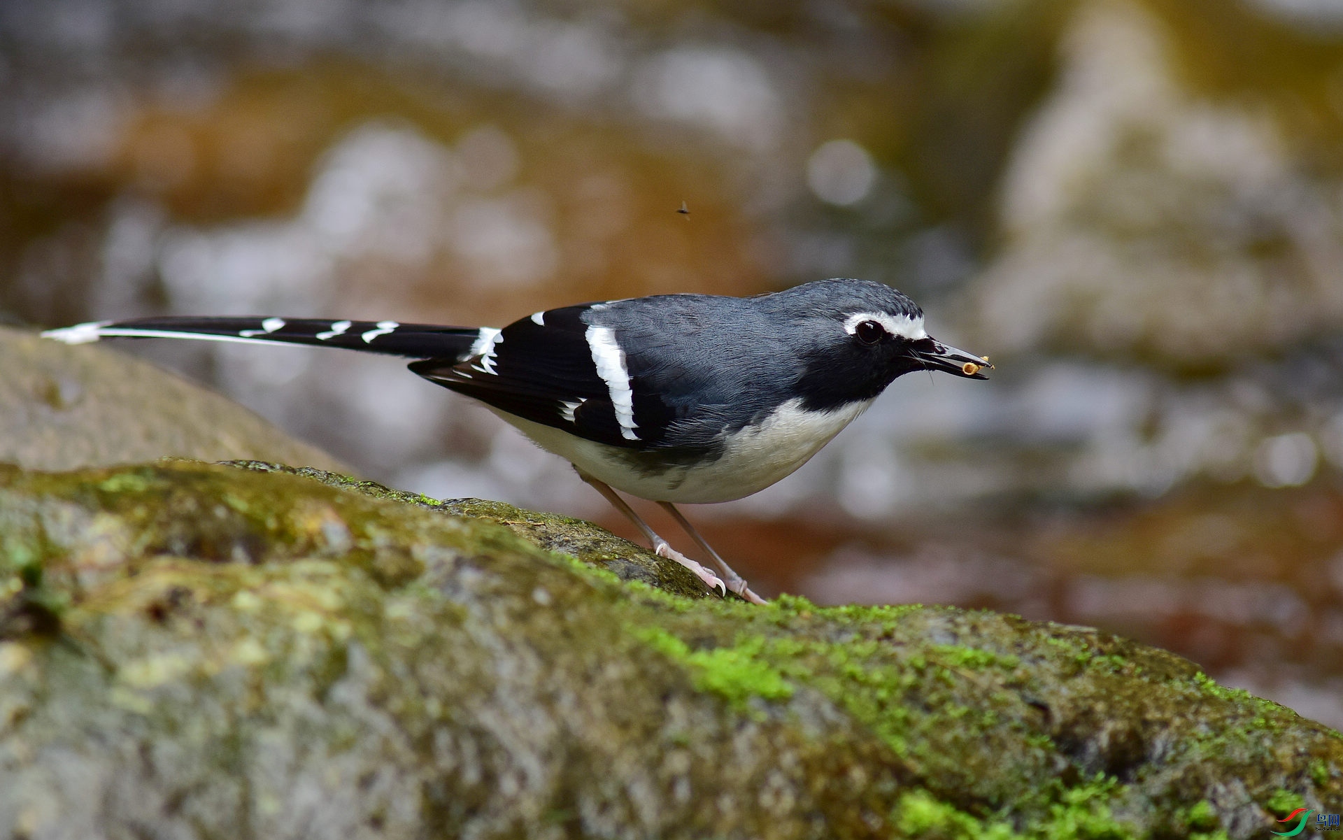 D8I_9284.jpg