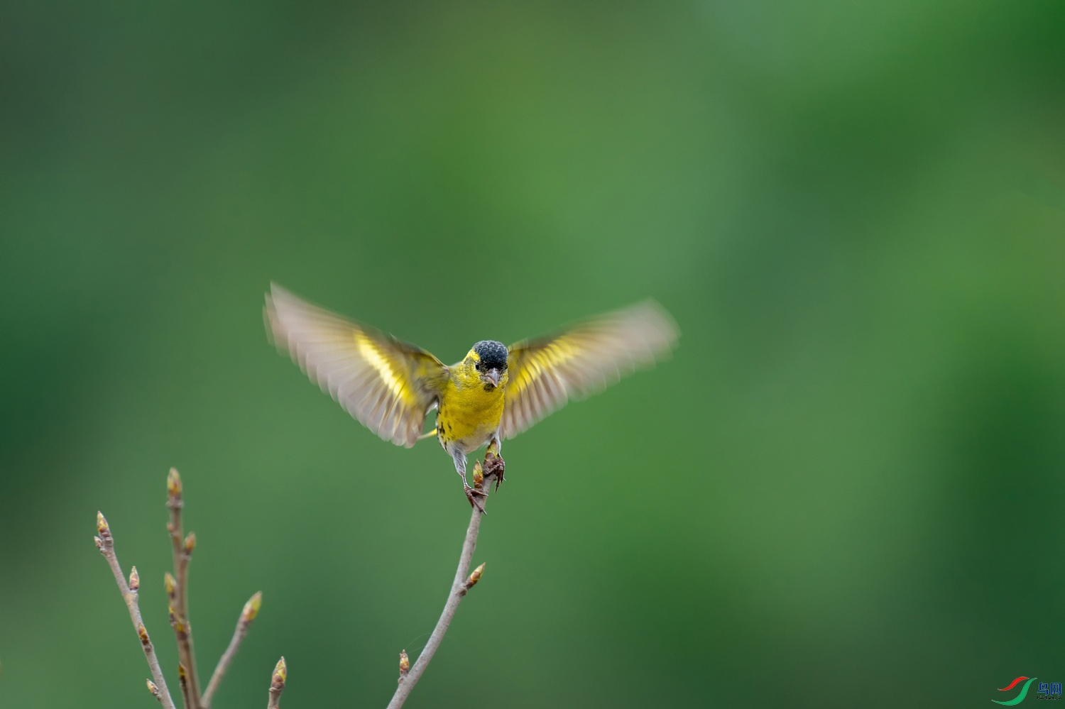 A9D04465a.jpg