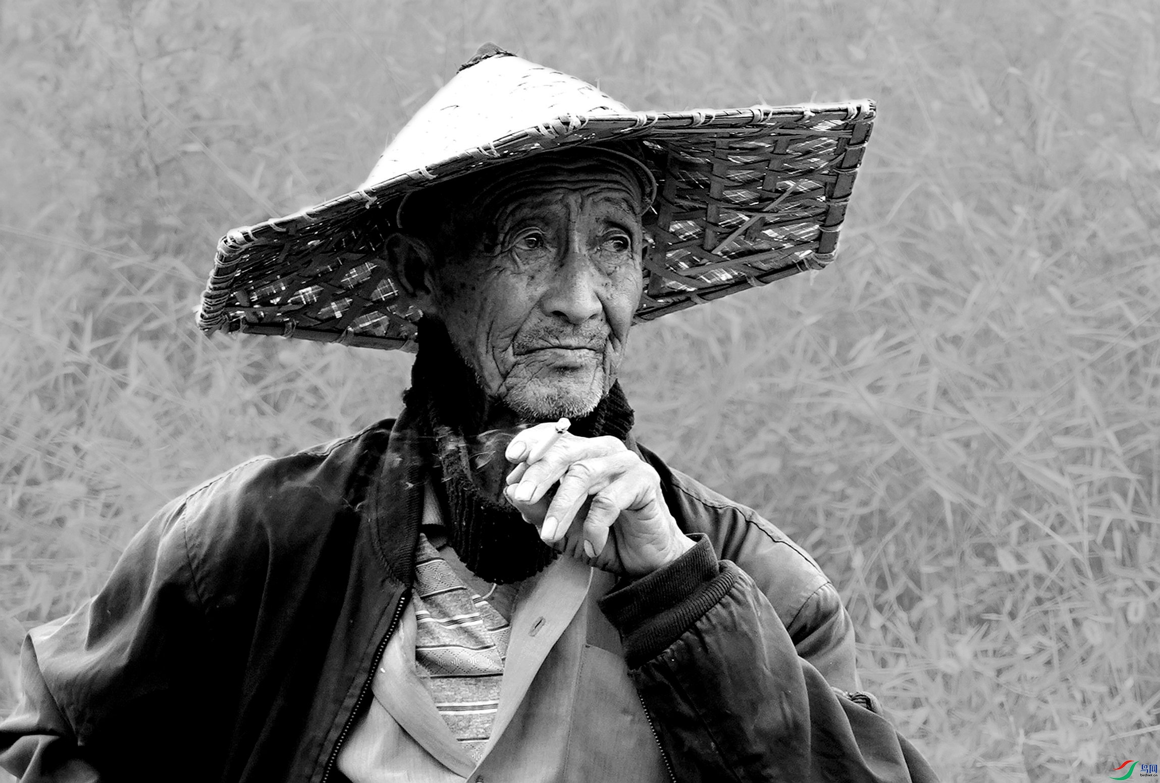 [人物] 老人------阅尽浮云的眼神