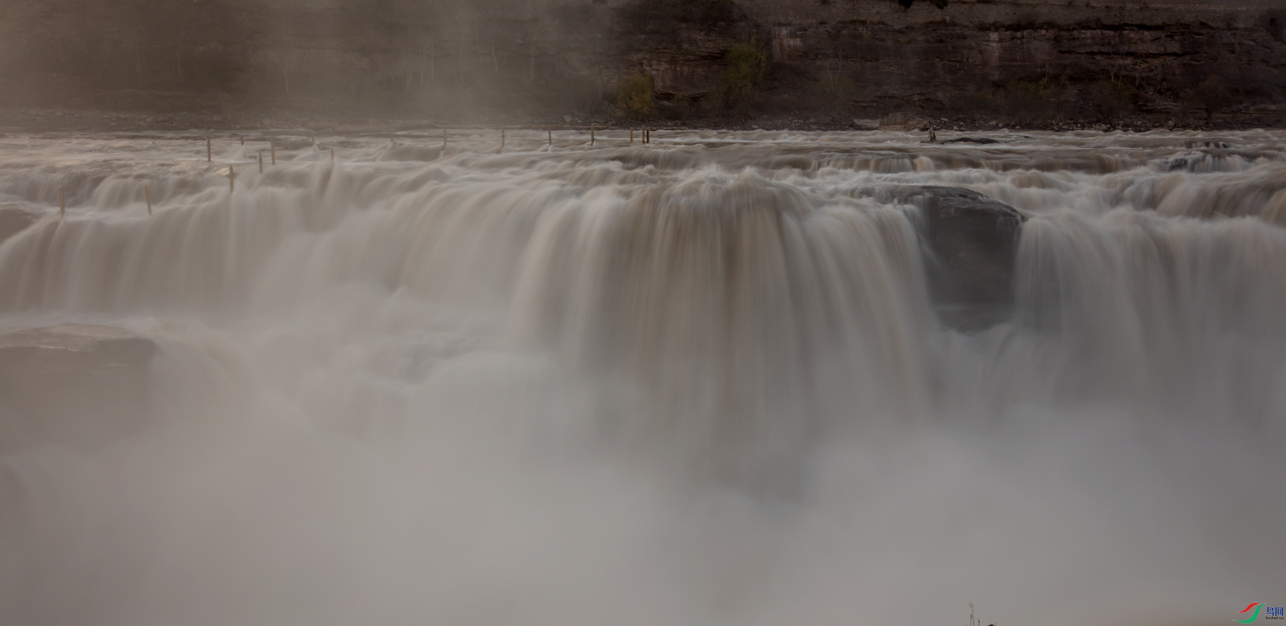 _B0A6875-1.jpg