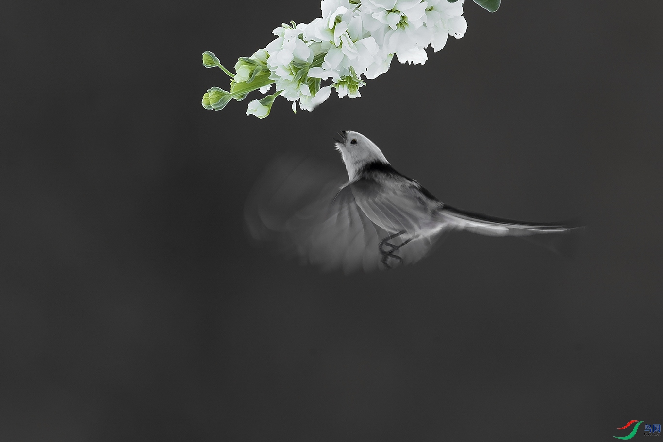 _L103457.jpg