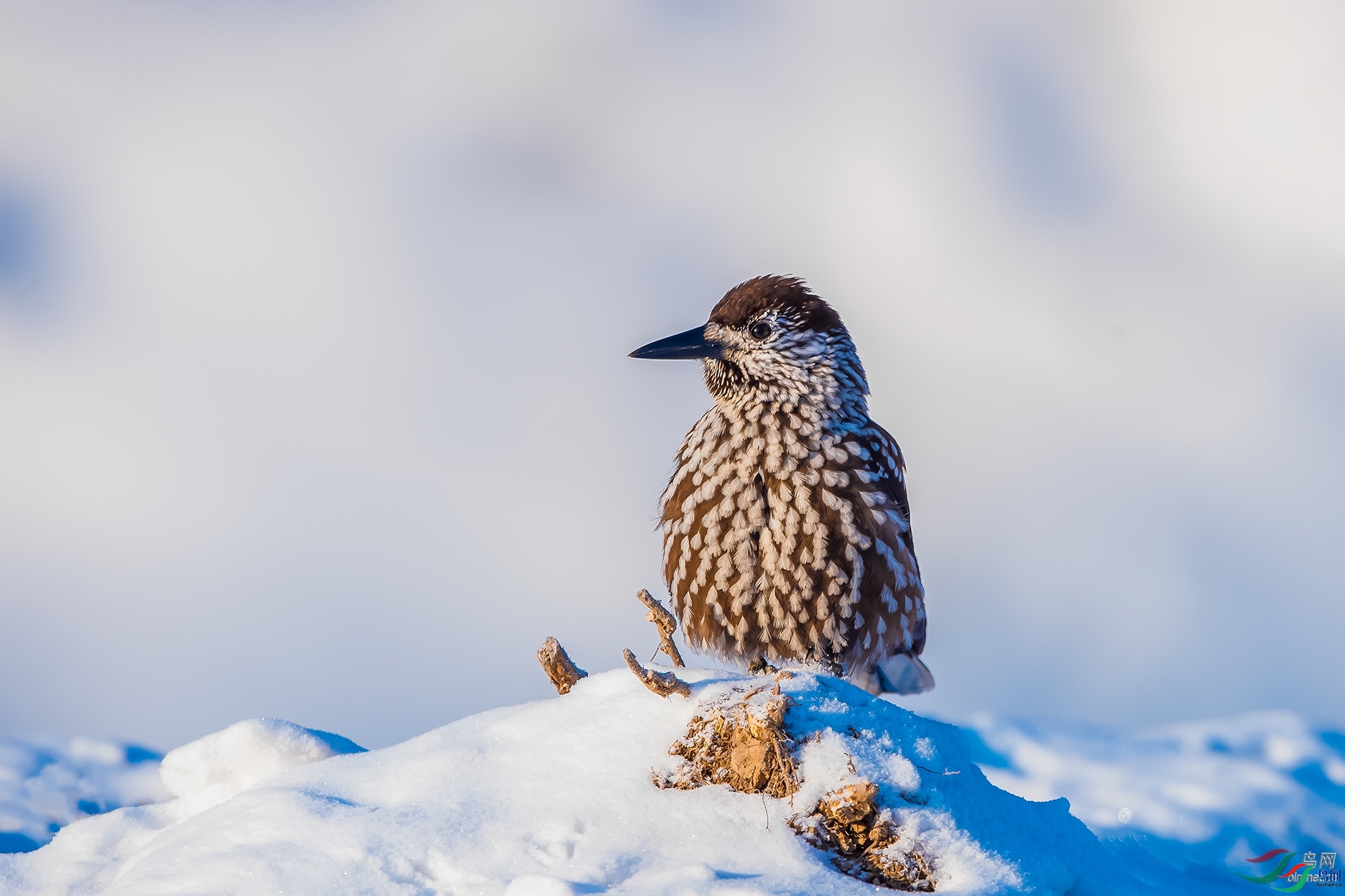 ��������  ��ʦ�����ں�����ʡ������.jpg