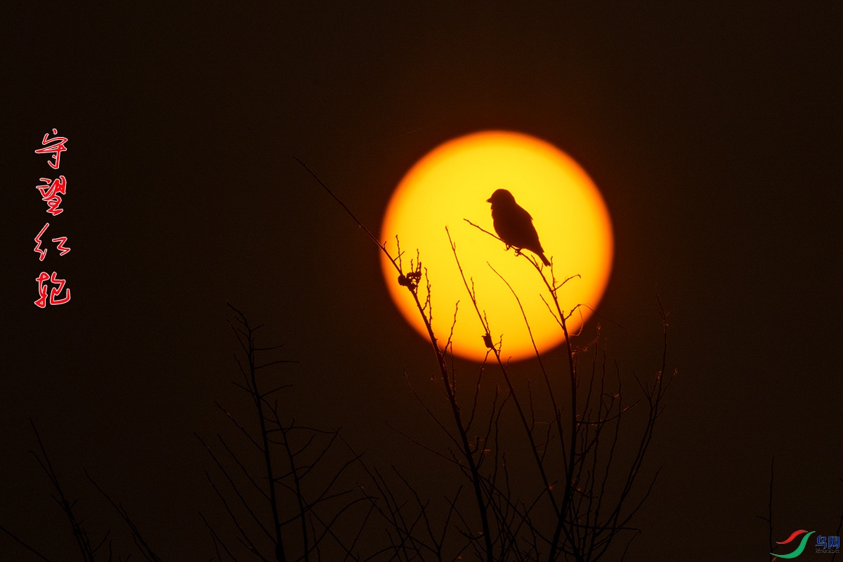 IMG_2634�������� .jpg