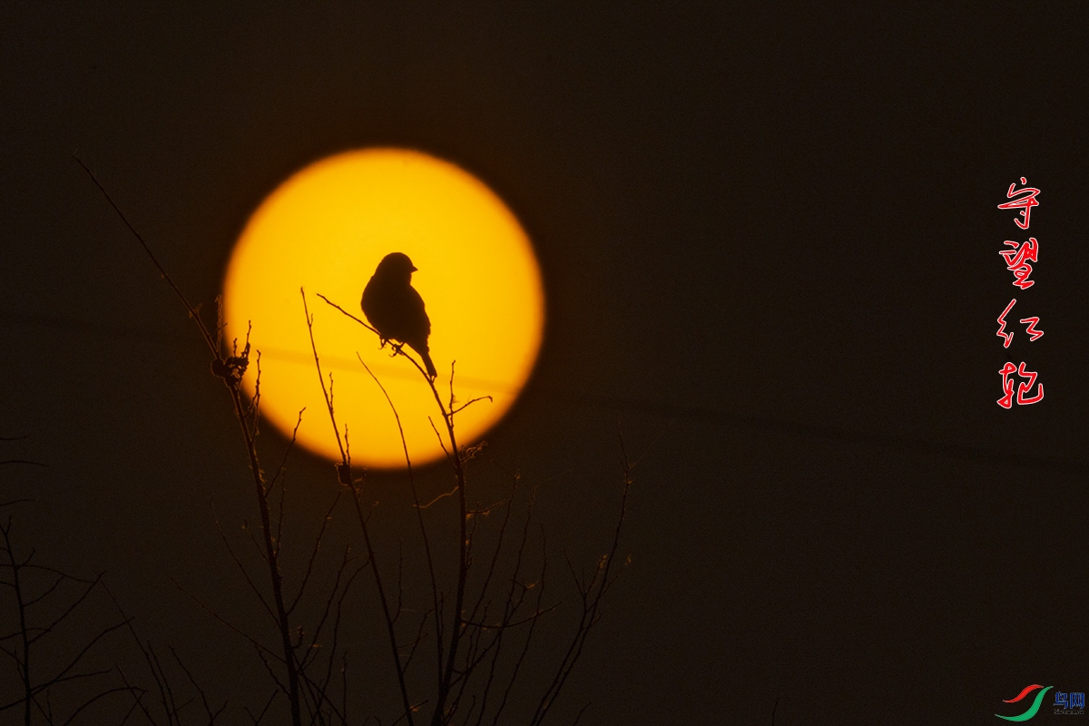 IMG_2680�������� .jpg