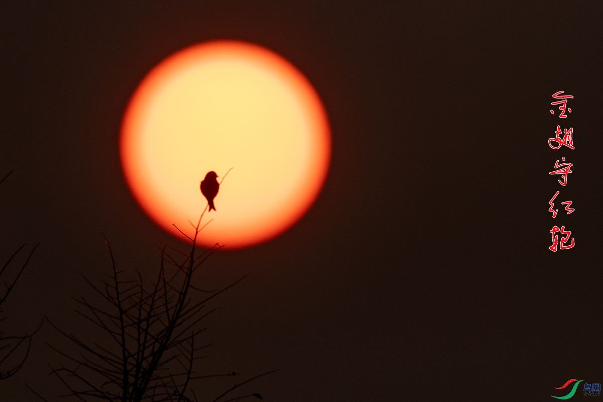 IMG_2544����غ��� .jpg