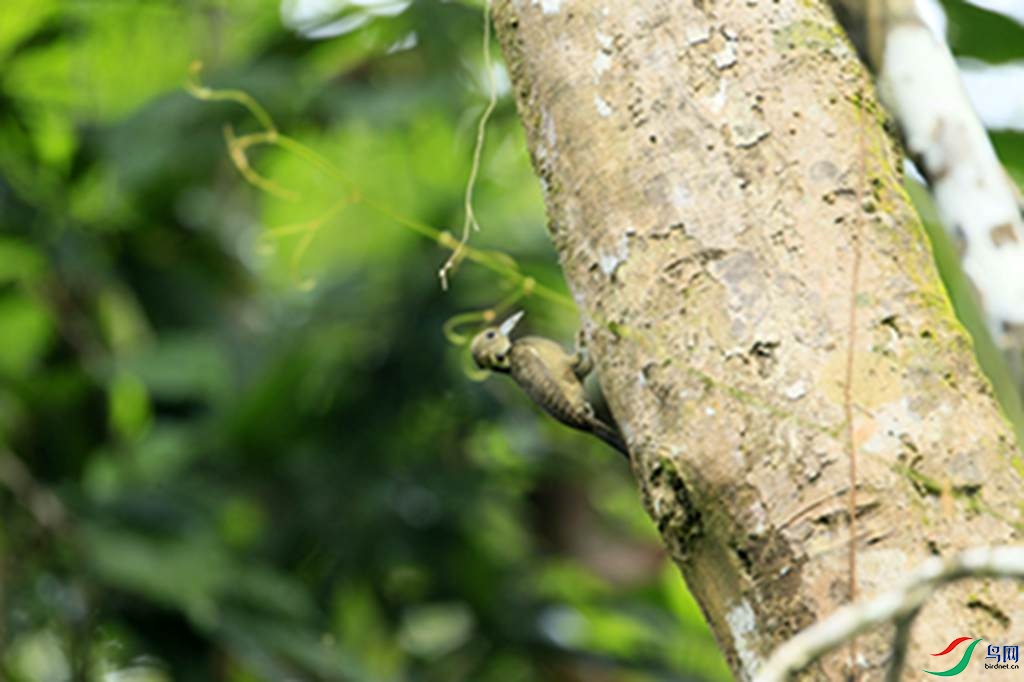 123.jpg