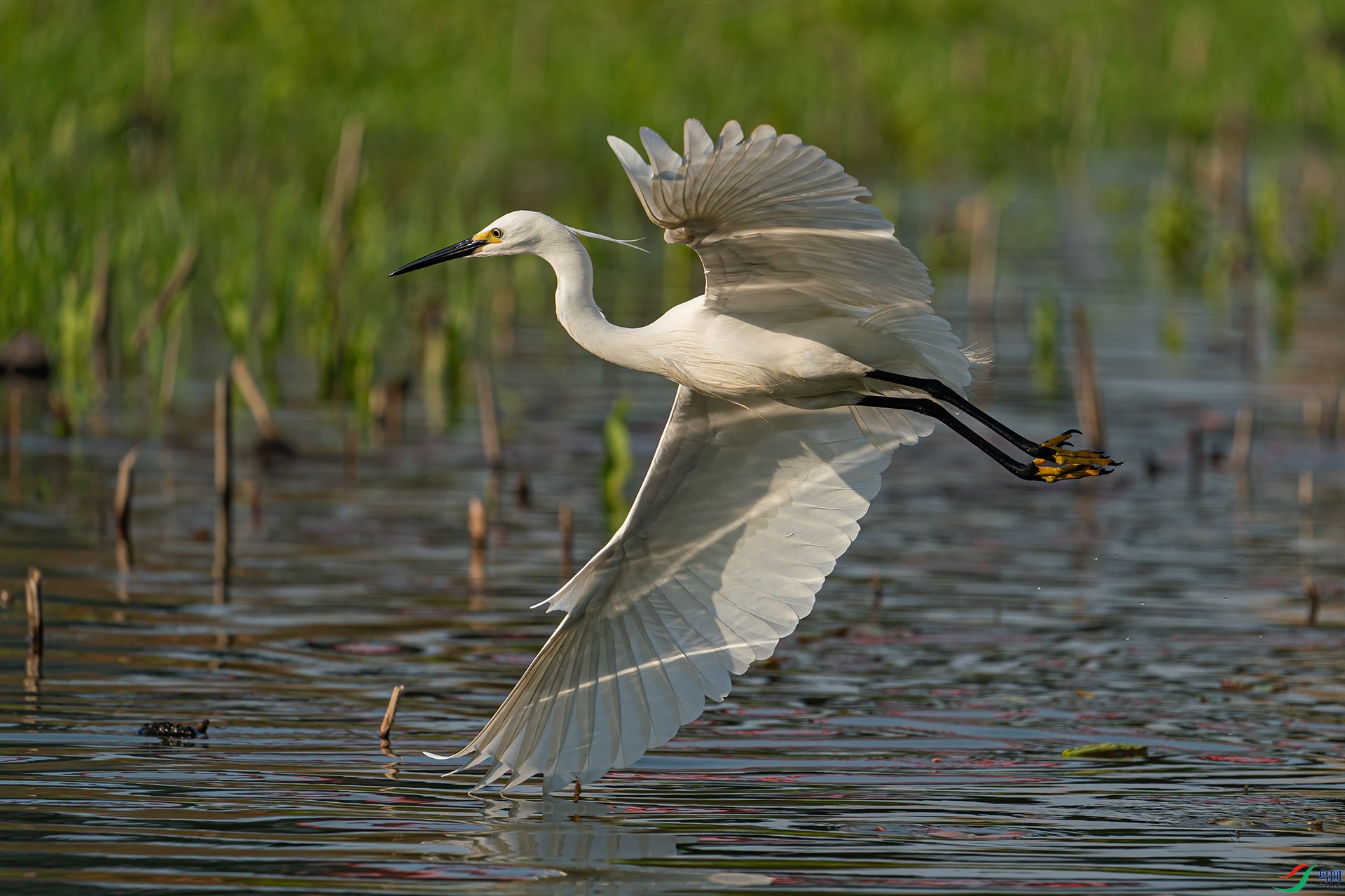 _DSC6772-1.jpg