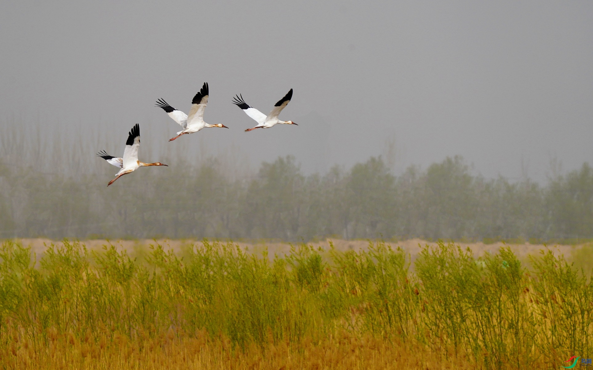 2 DSC07038����_����.jpg