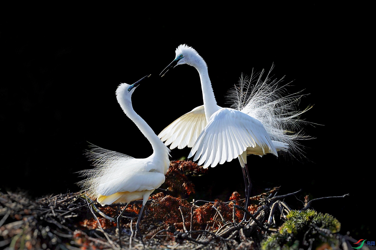 һ������