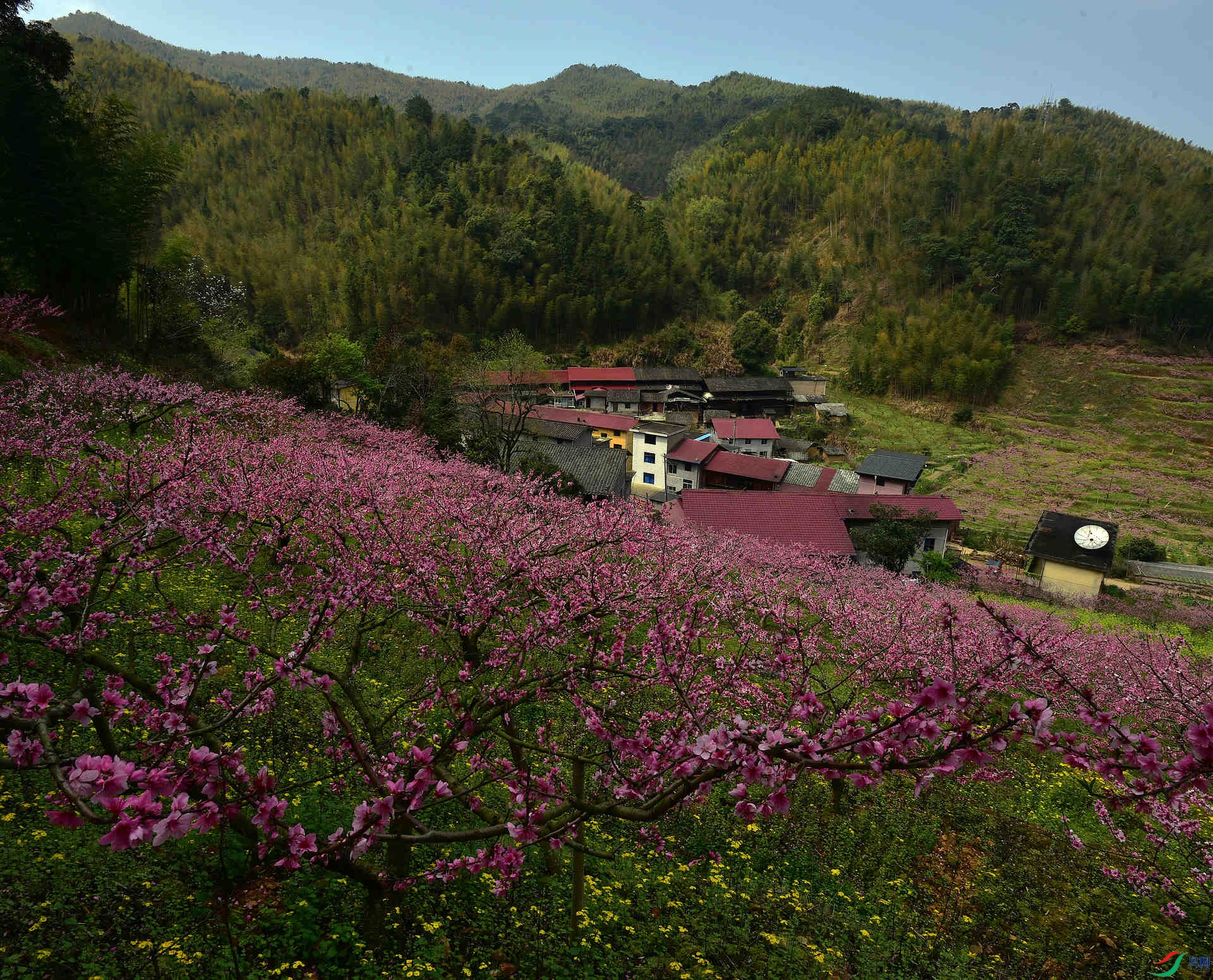 D8I_0124.jpg