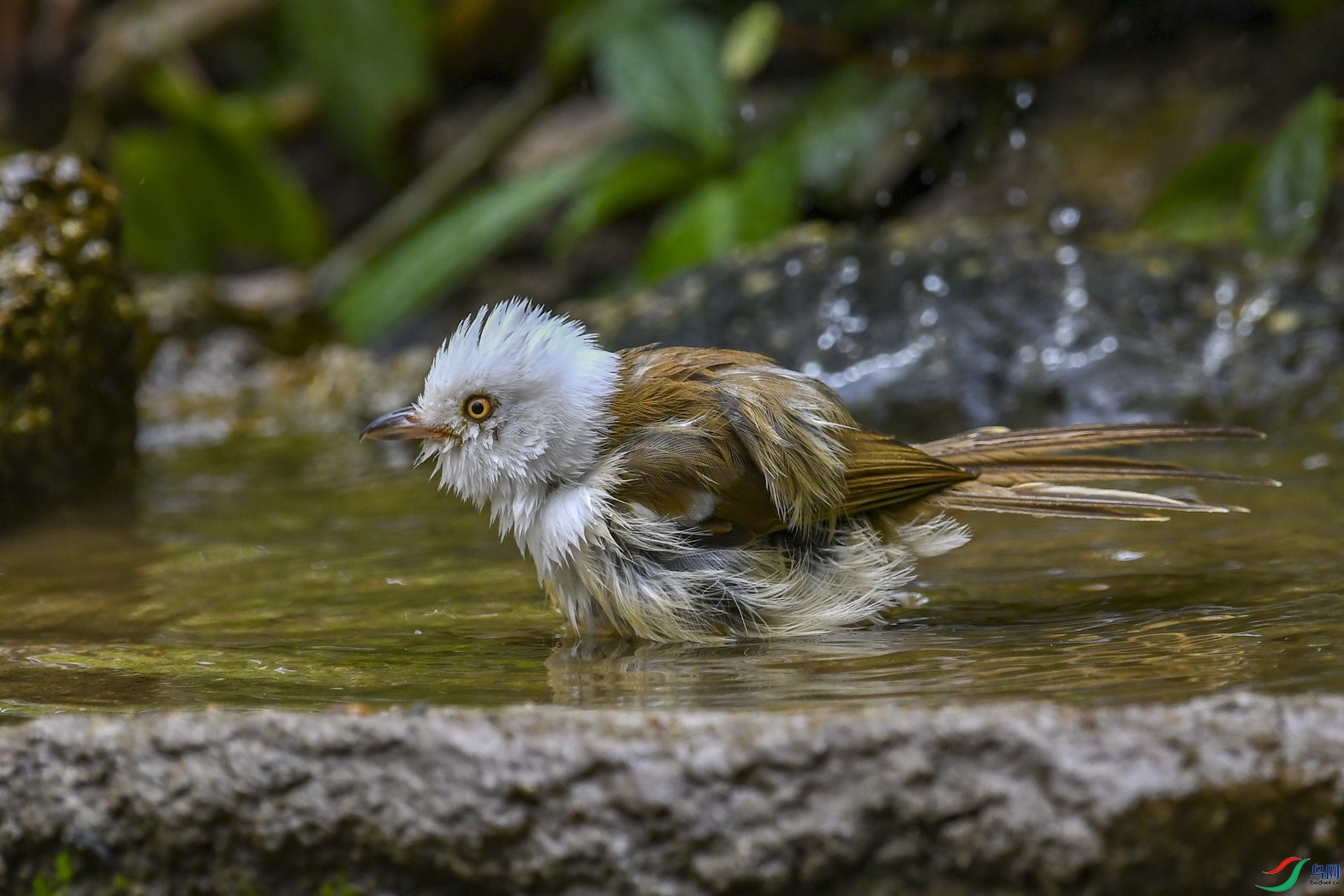 DSC_3598.jpg