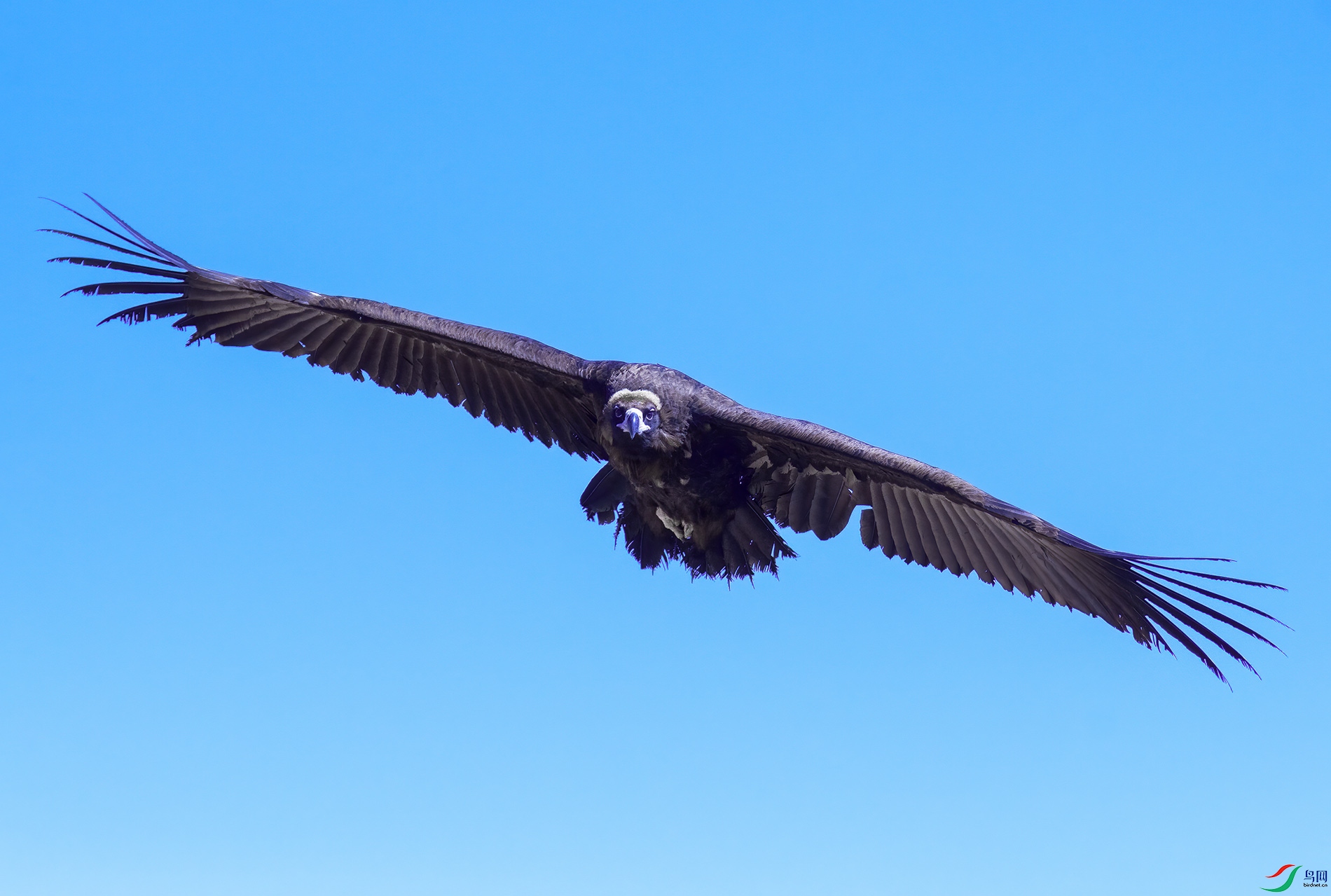 DSC_2112.jpg