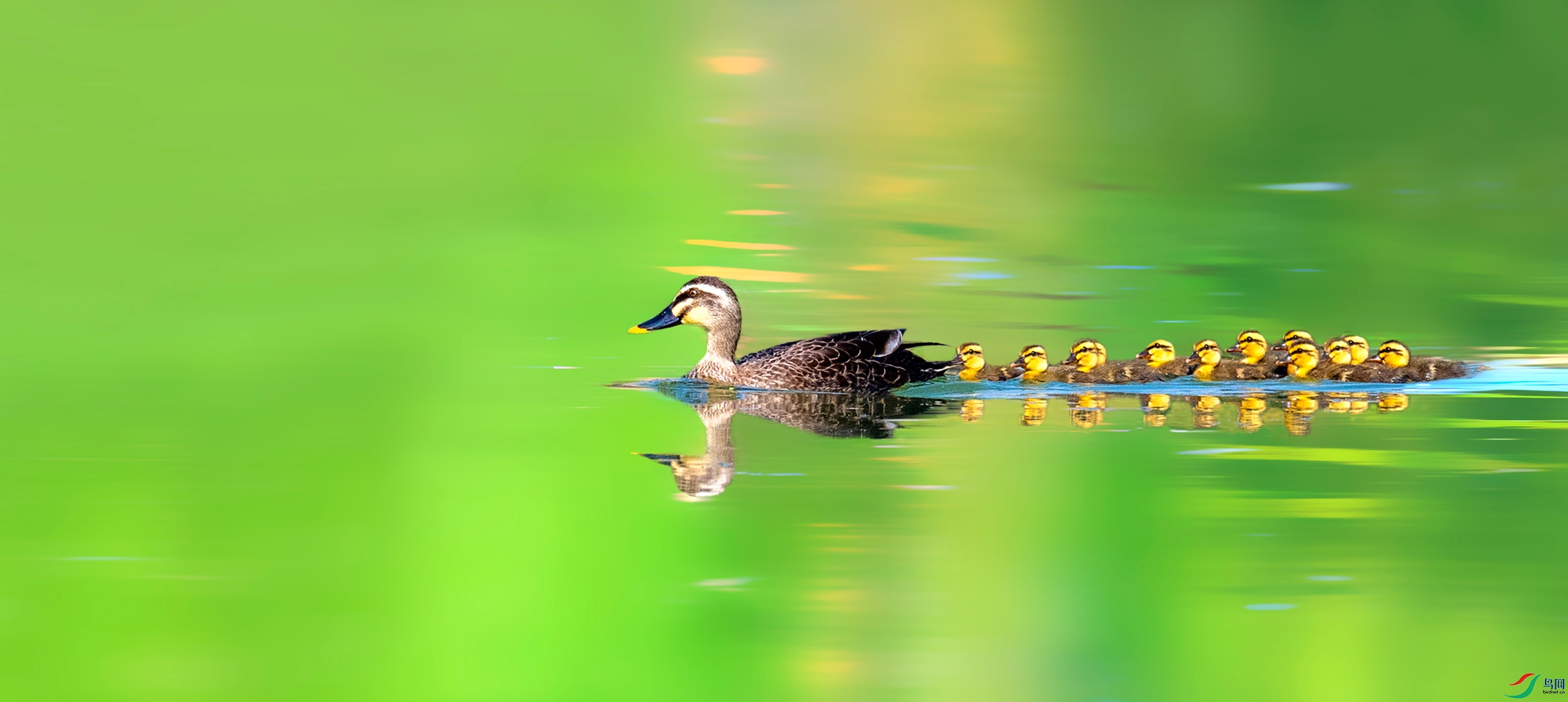 AGG_6006_����.jpg