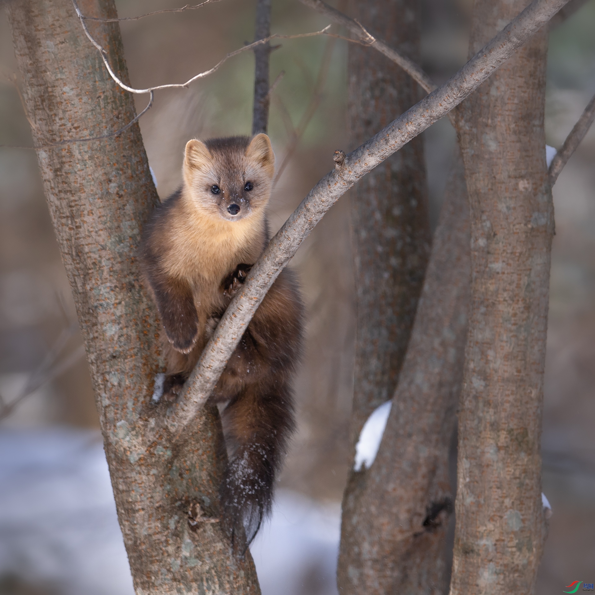 DSC_9745С.jpg