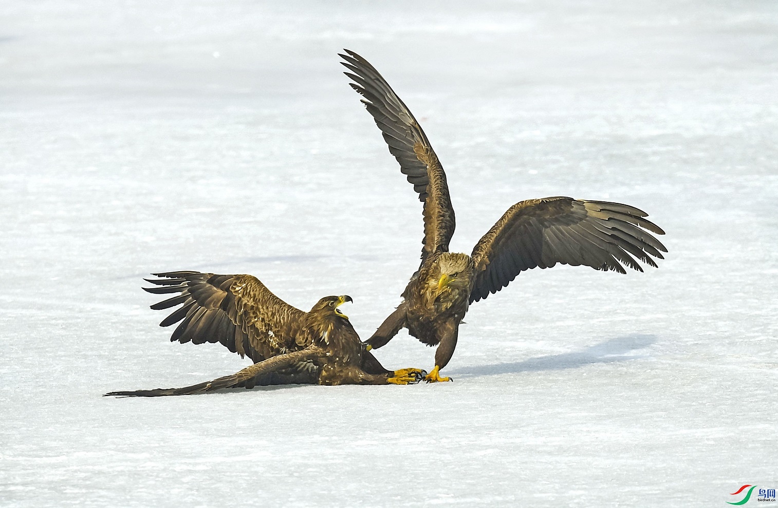 DSC_4352_�῵.jpg