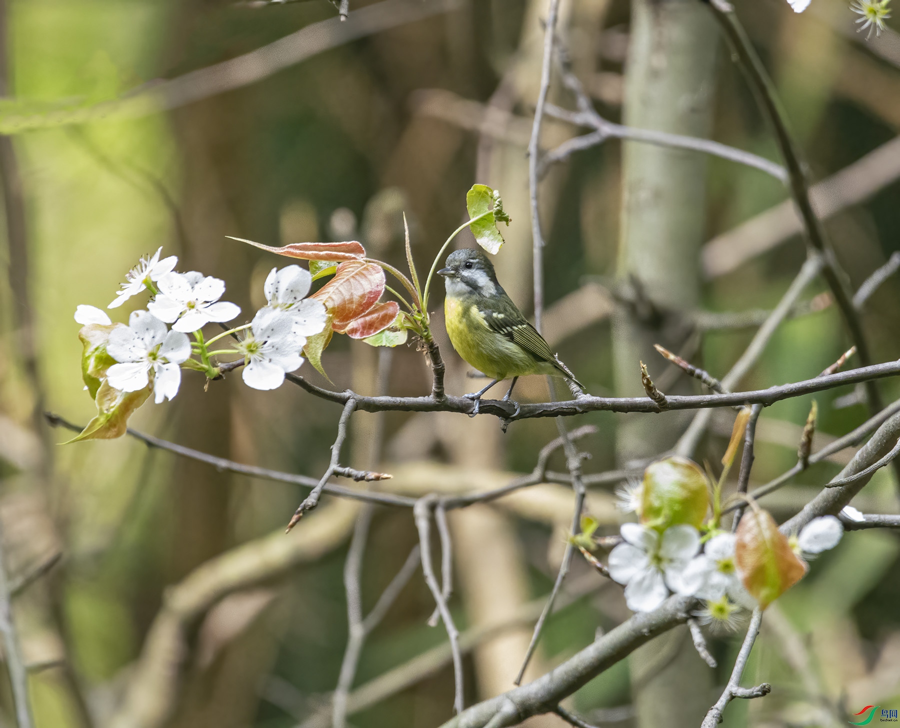 DSC_6810.jpg
