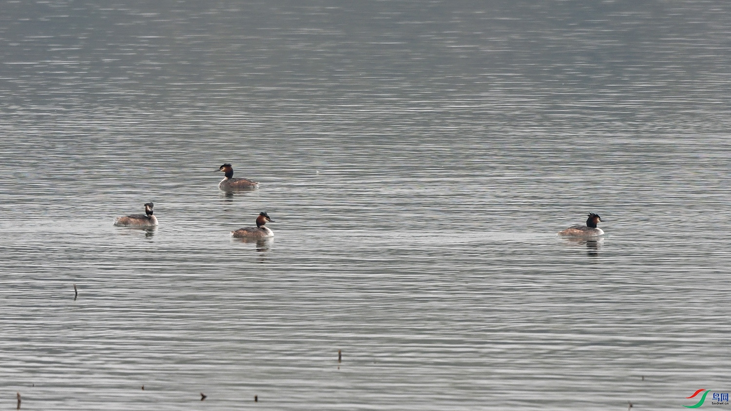 DSC_5431.jpg