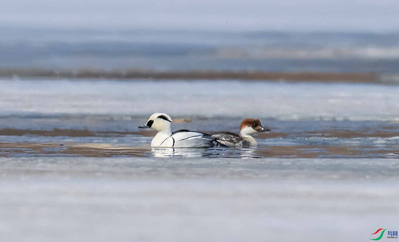 ���ܰ���