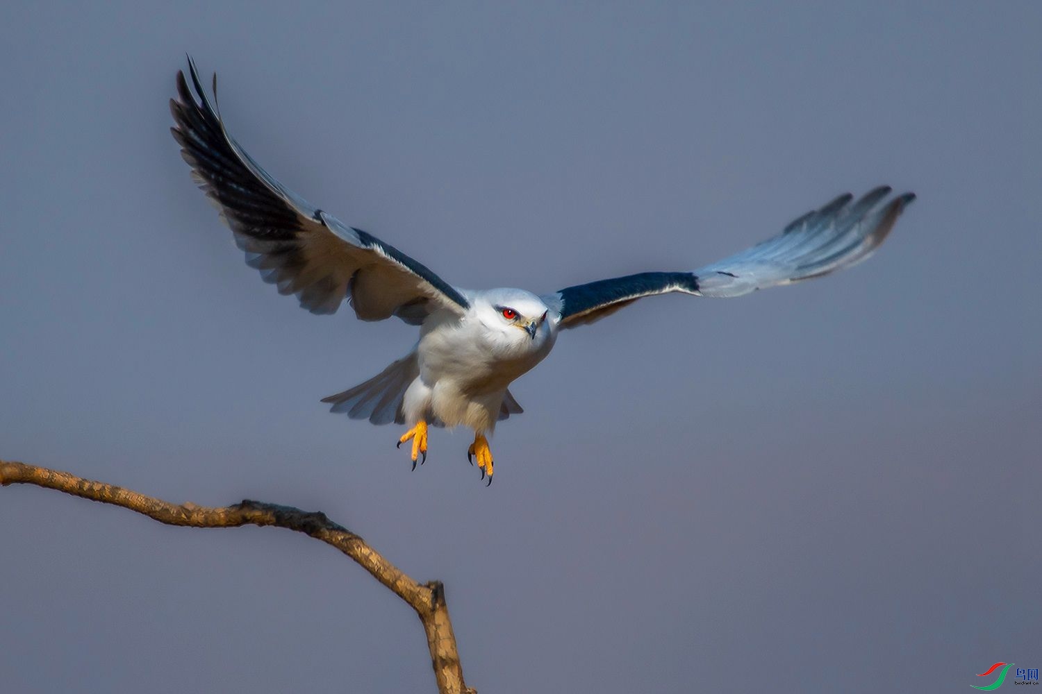 DSC_5382.jpg