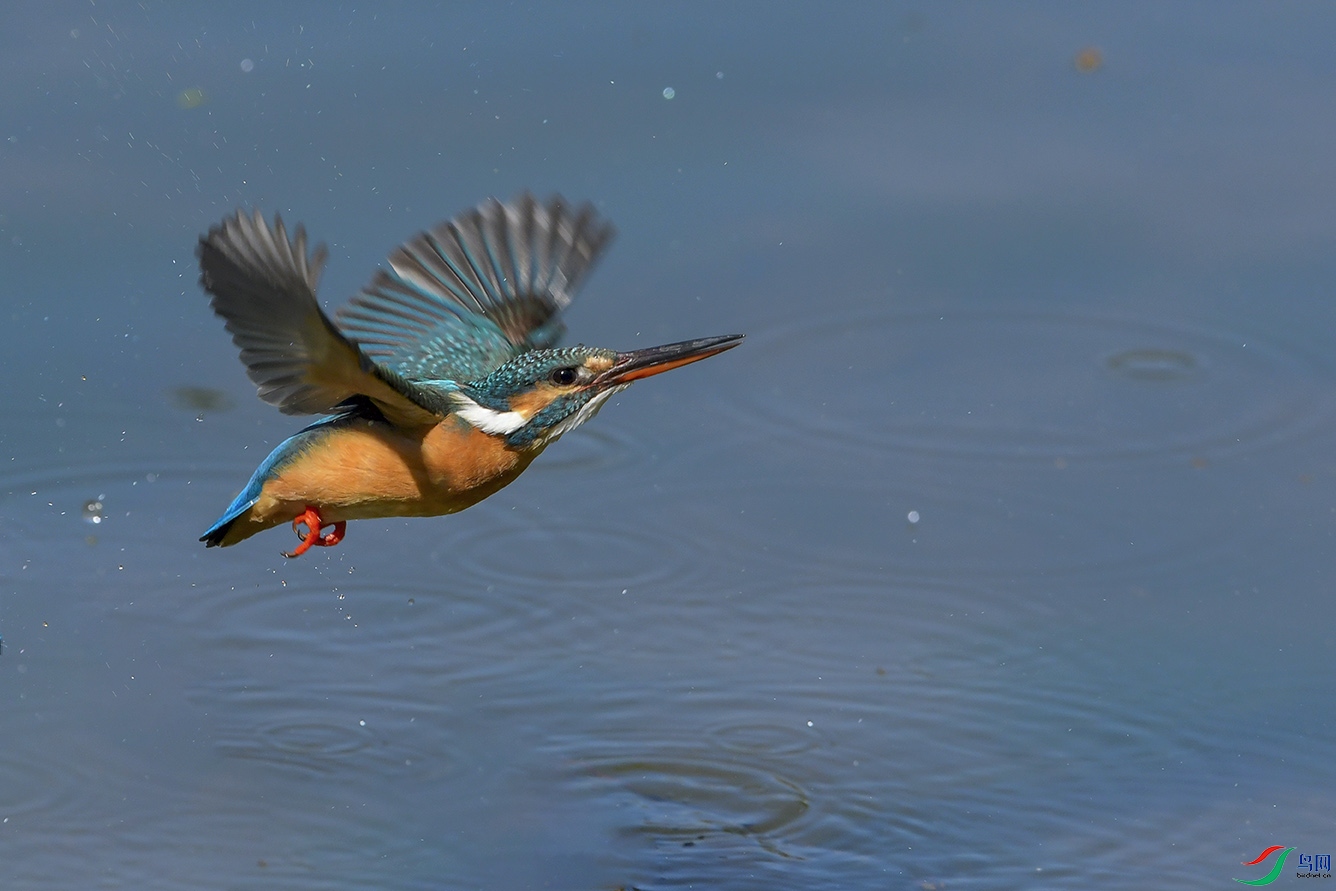 DSC_3284-2.jpg