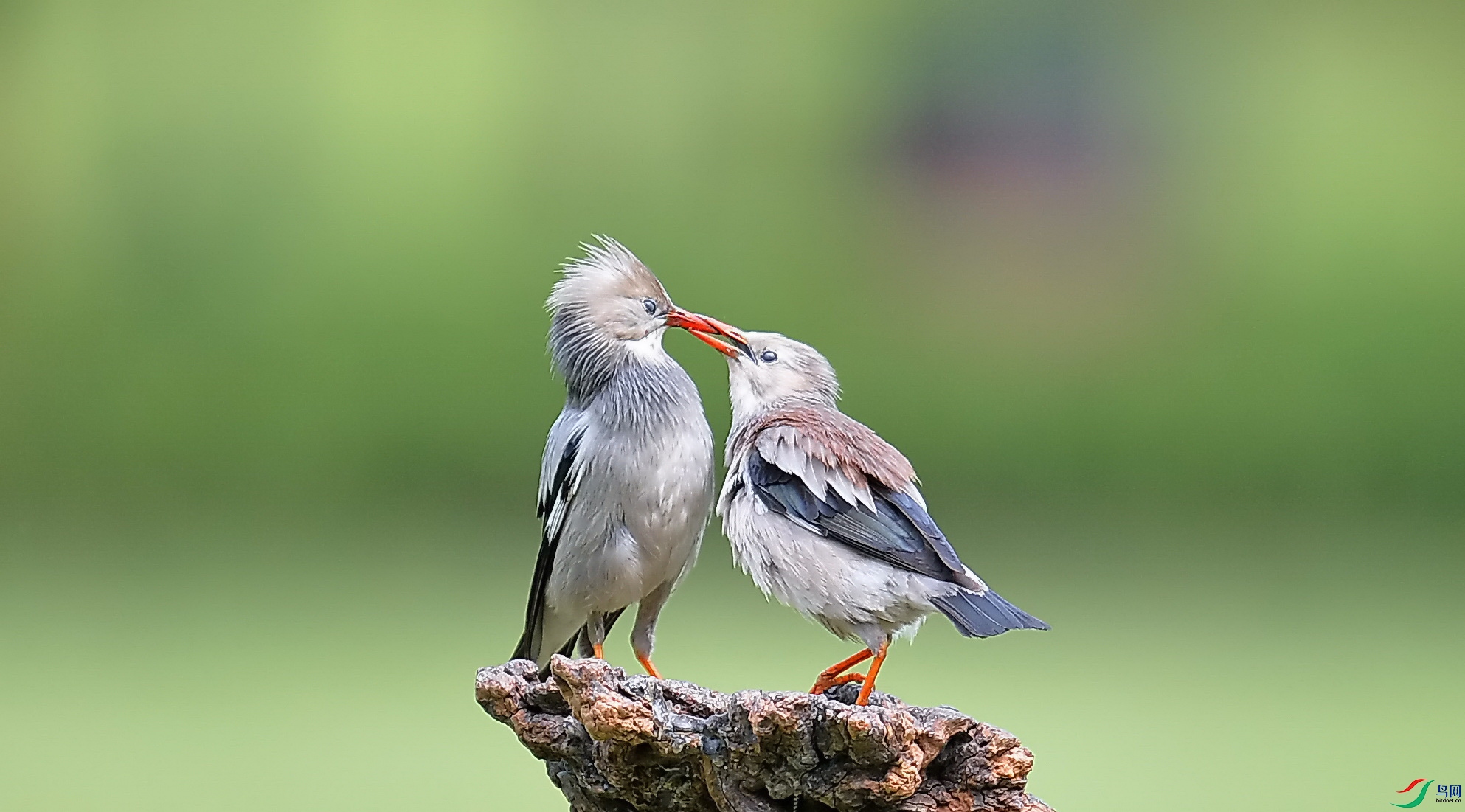 DSC_3413_����.jpg