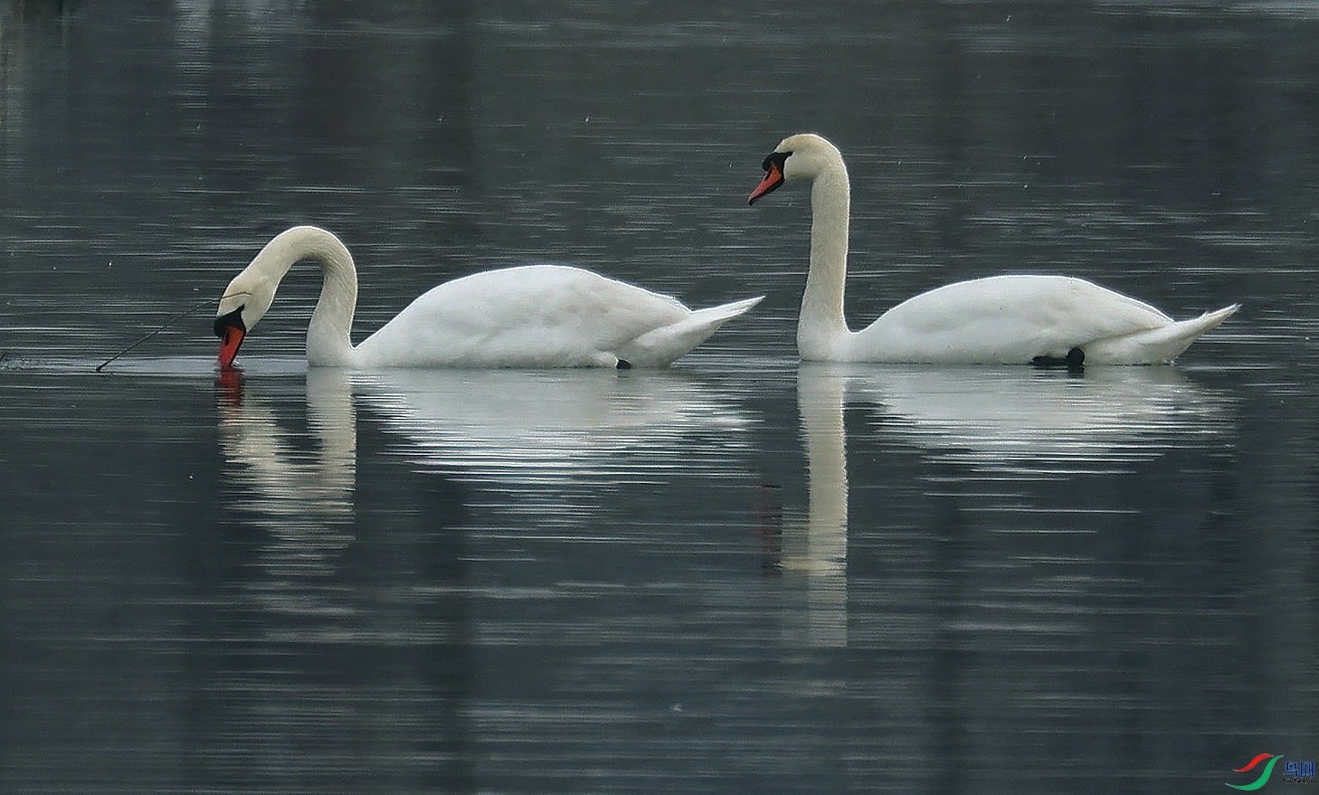 ���� 01.00_00_23_05.Still001.jpg