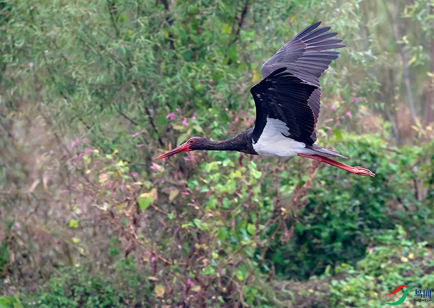 DSC_5691.jpg
