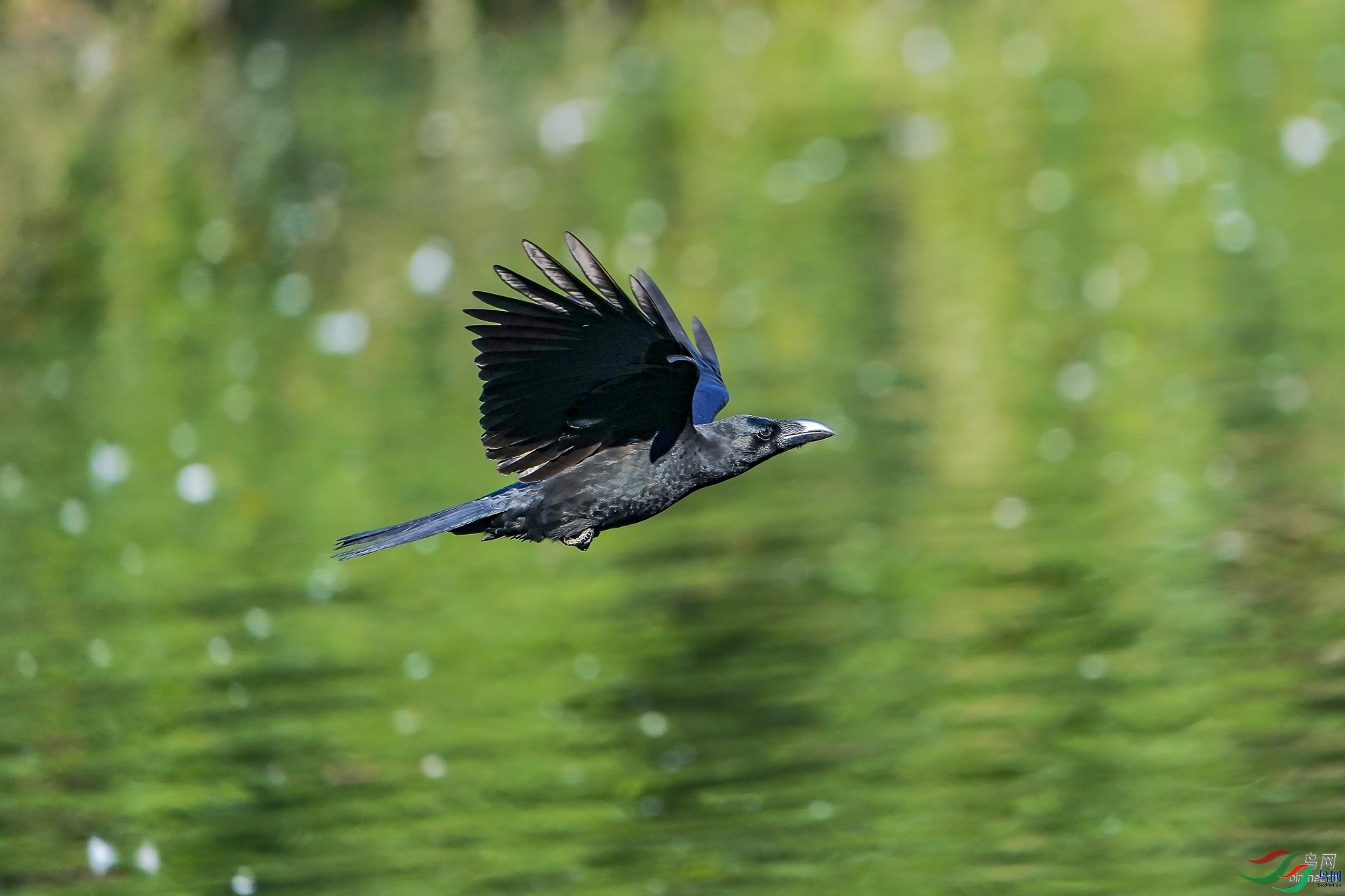 ʮһ  ��ʦ�����ڱ����к�����.jpg