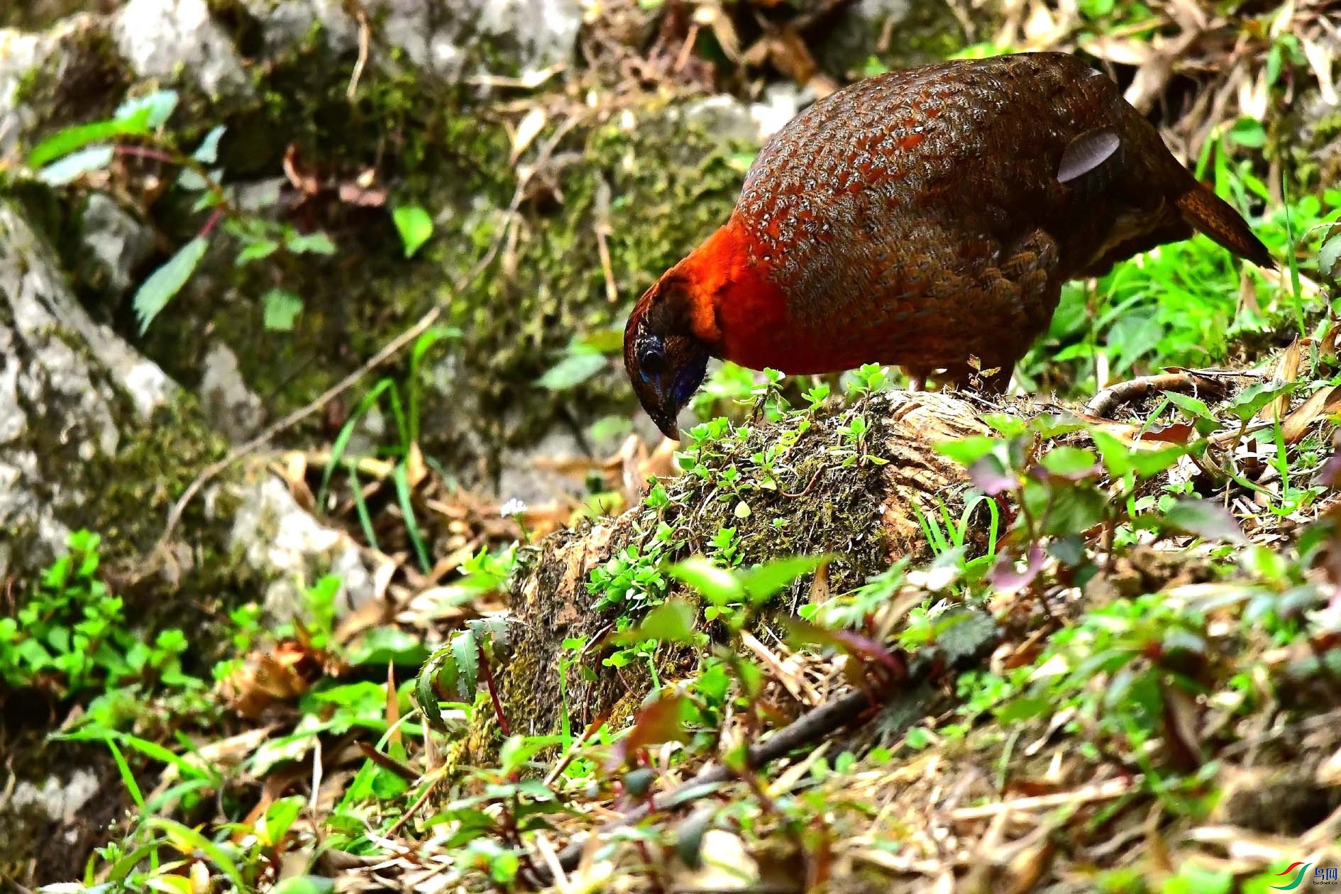DSC_6722_����.jpg