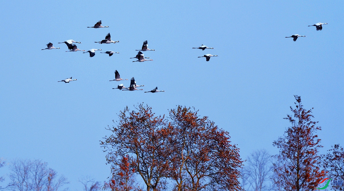 �ɹ�����