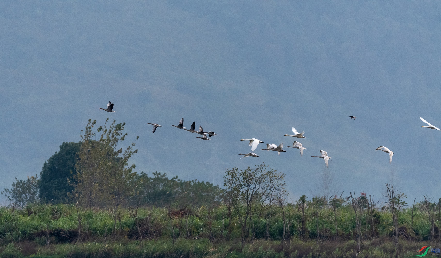 �������