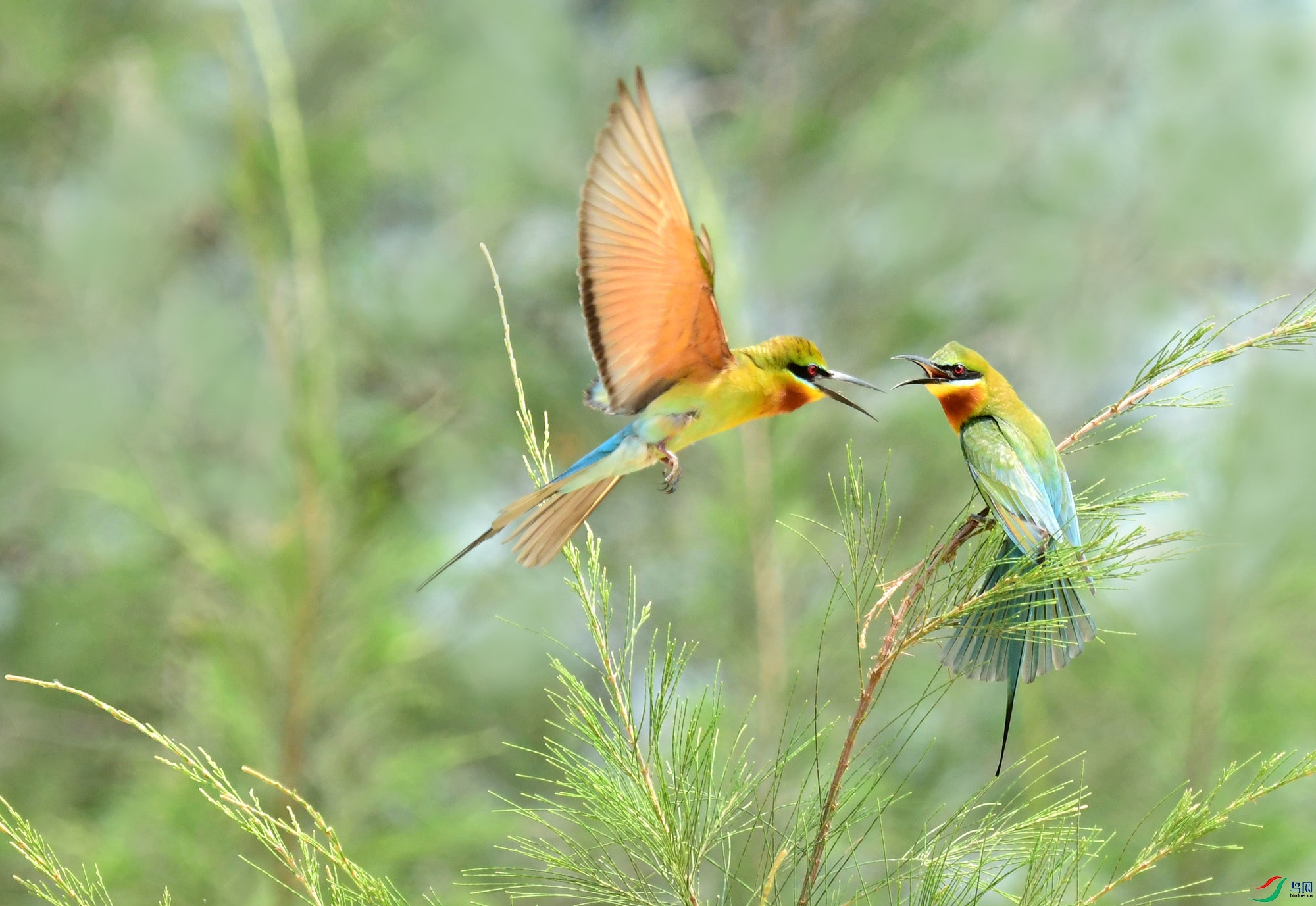 DSC_9298_����_��ͼ��_����.jpg
