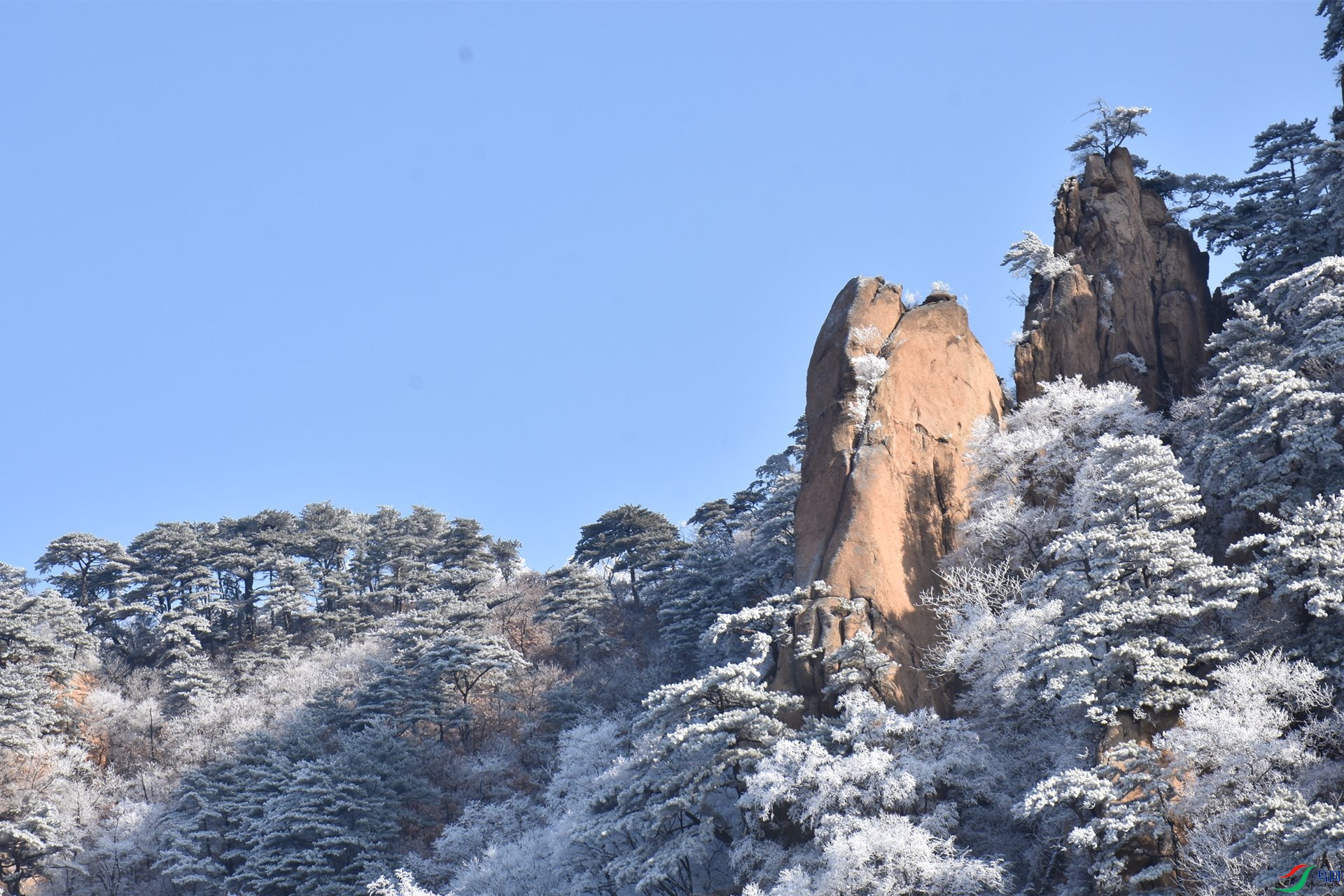 �Ʋ���Ů��