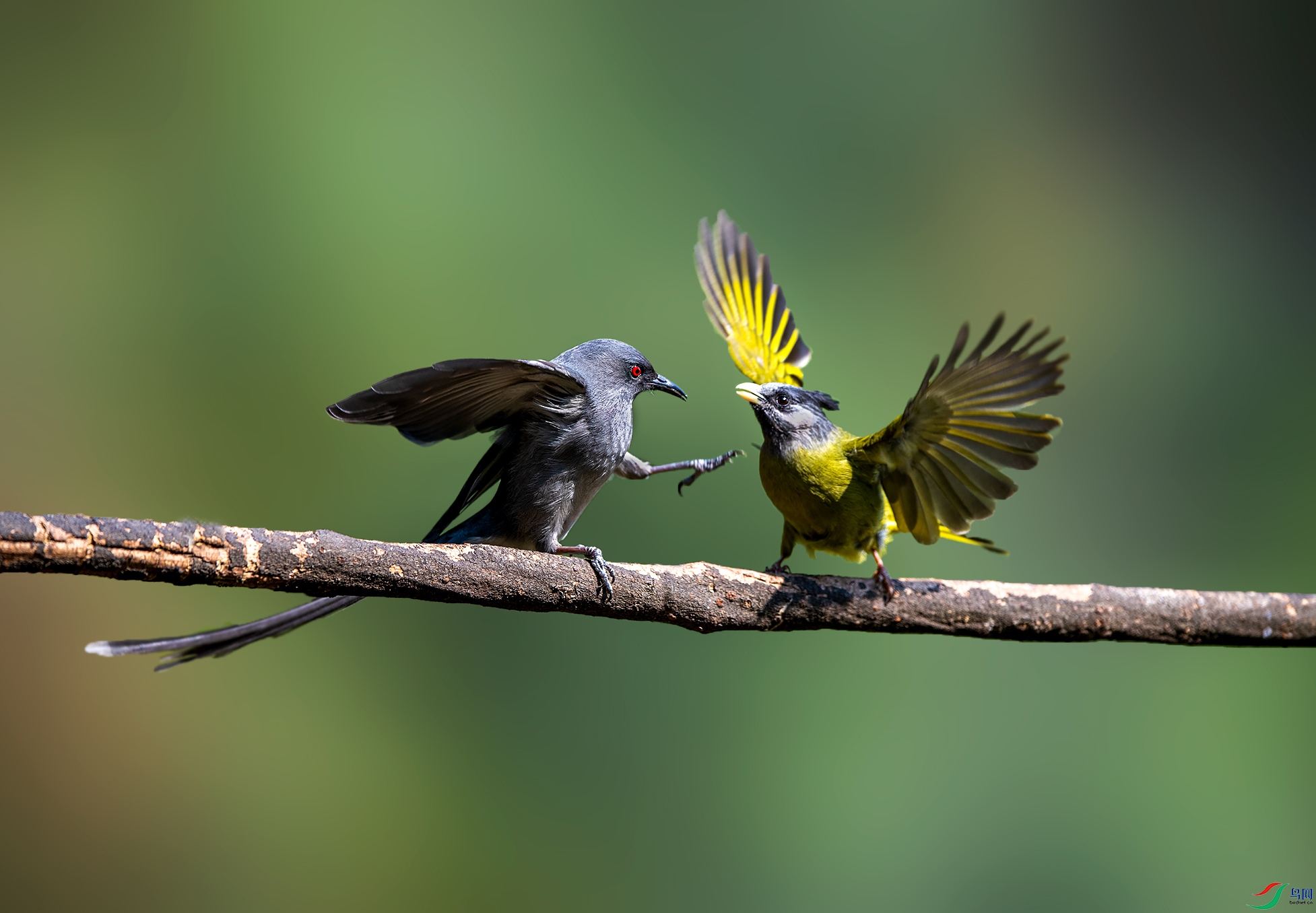 DSC_6766a.jpg