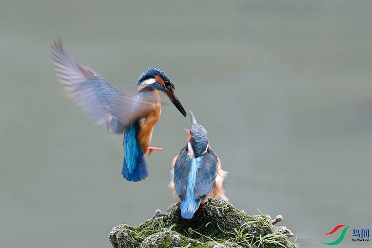 _H1A4695 ����.jpg