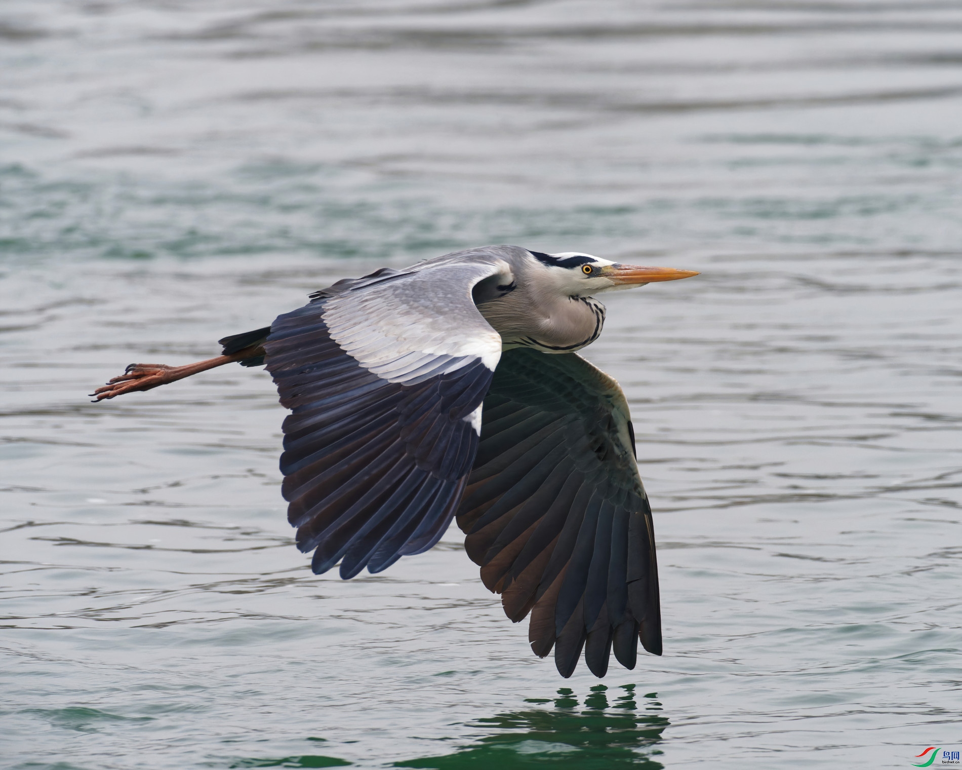 P3210384_DxO-sd2.jpg